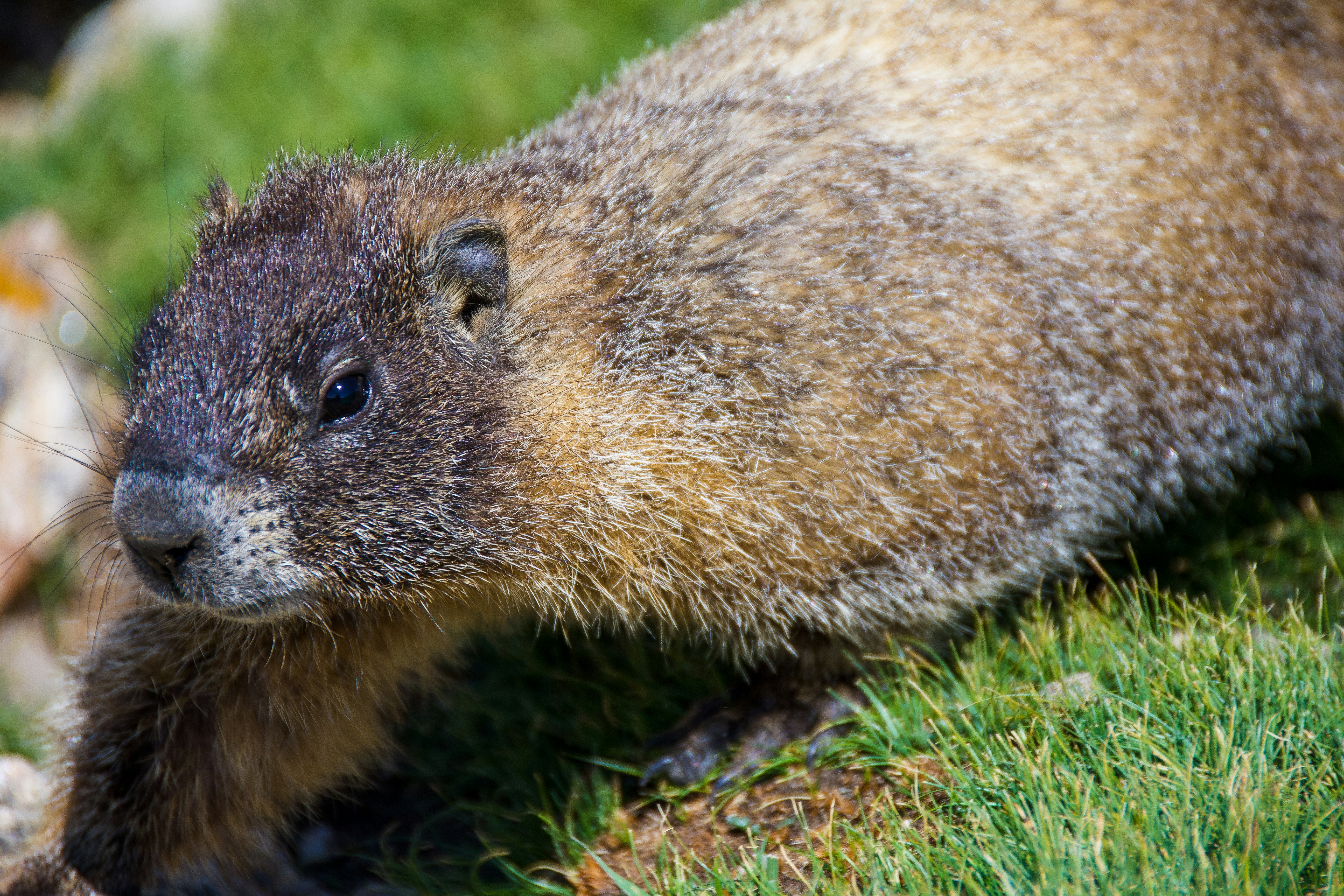 Photo by jackcharles