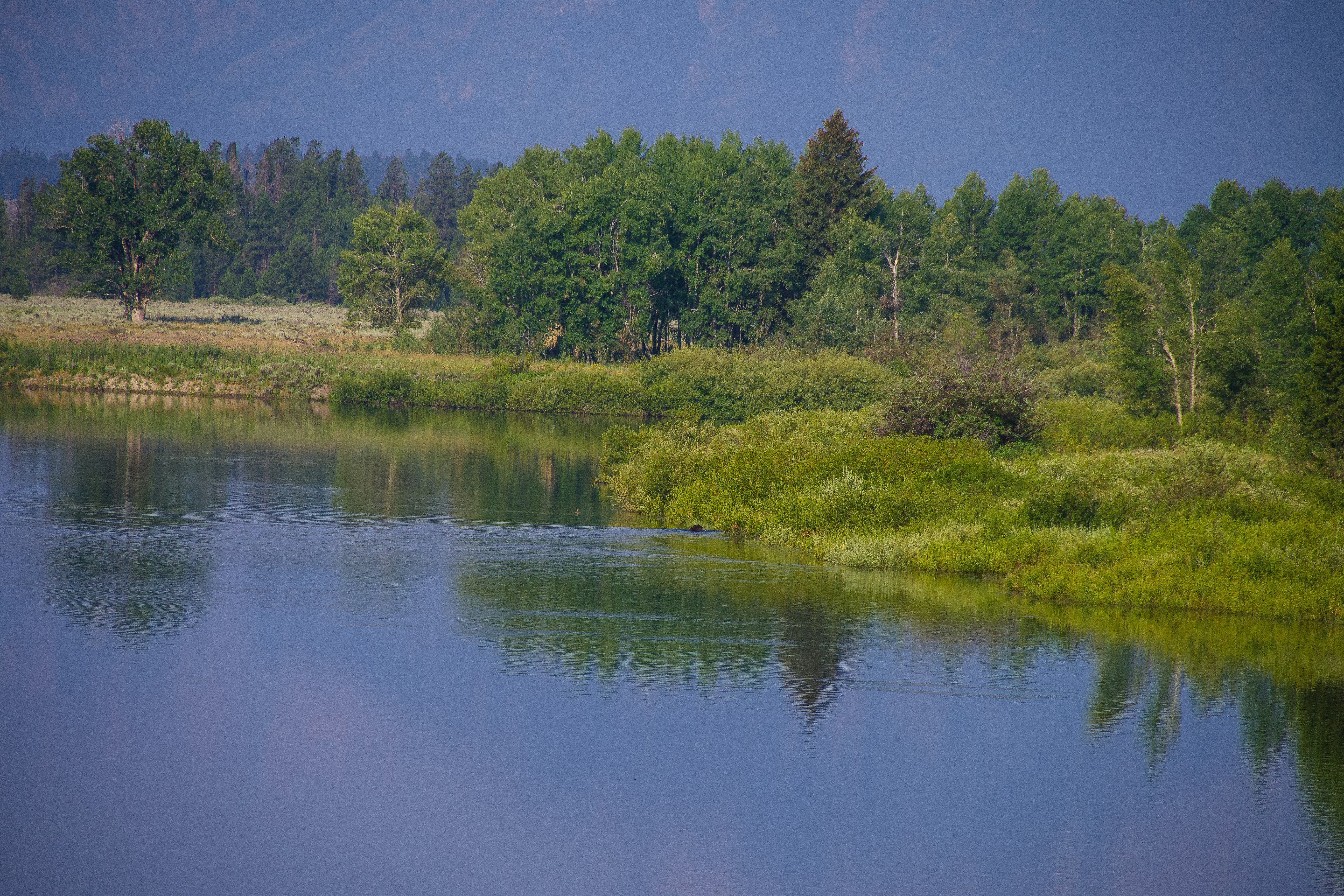 Photo by jackcharles