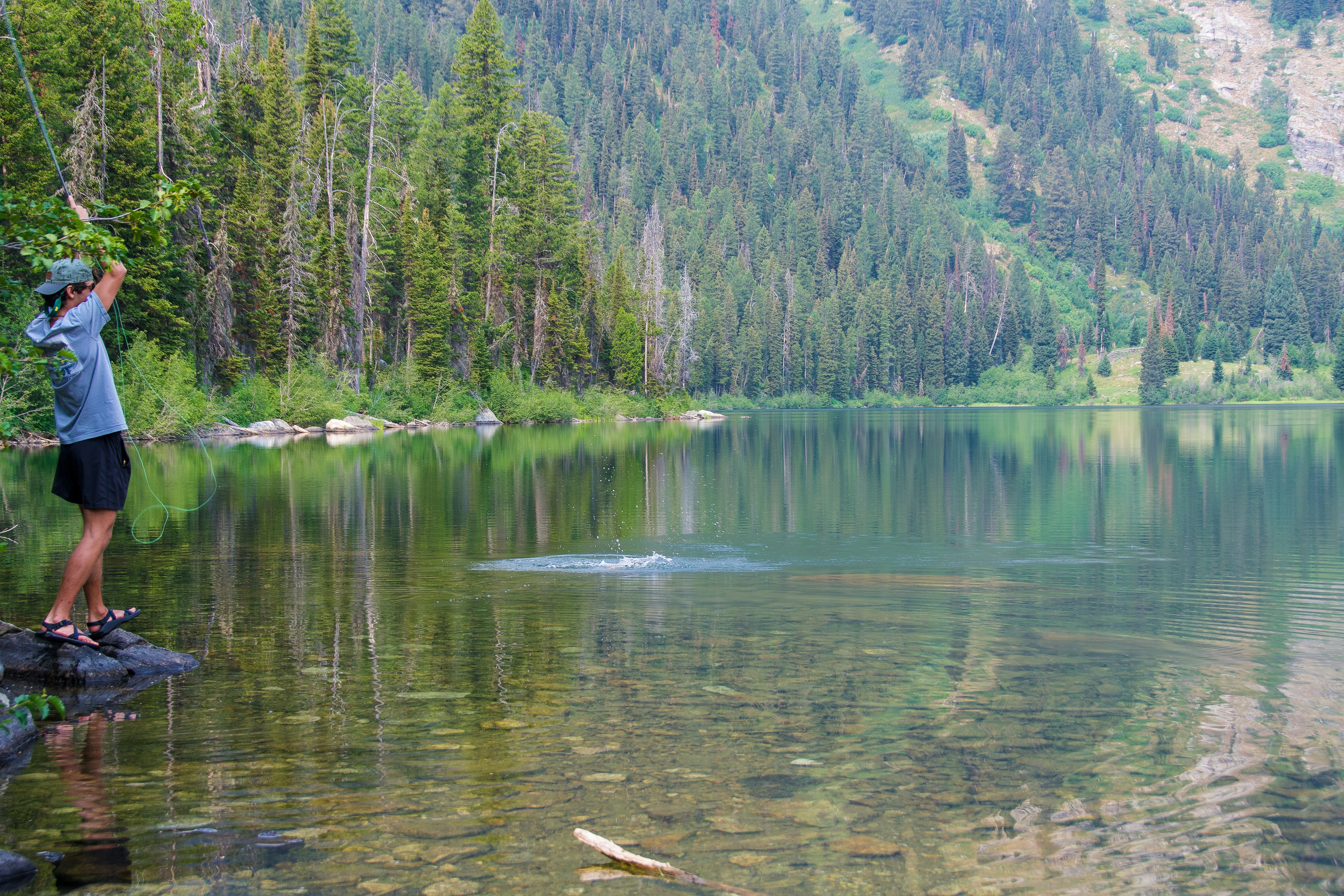 Photo by jackcharles