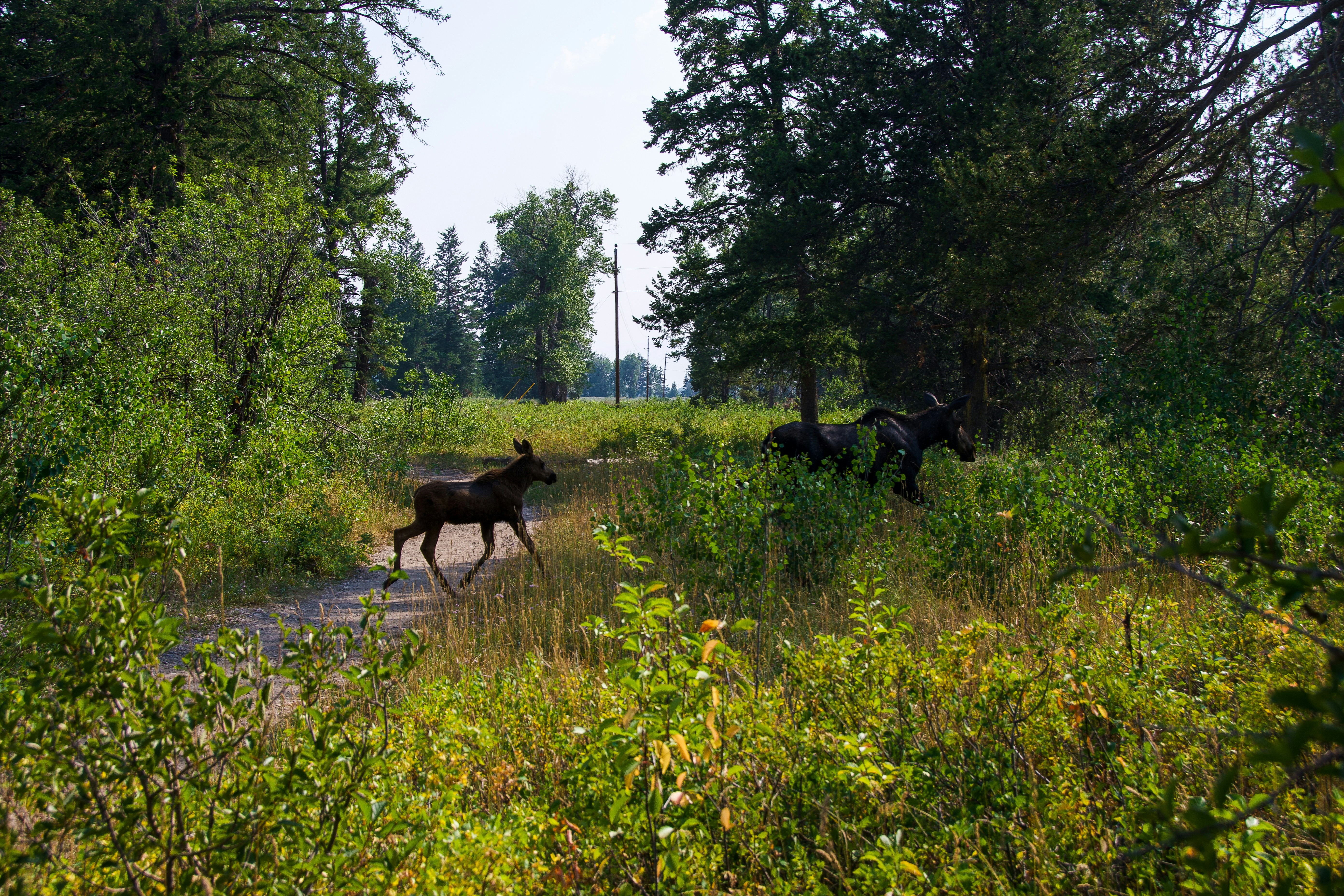 Photo by jackcharles