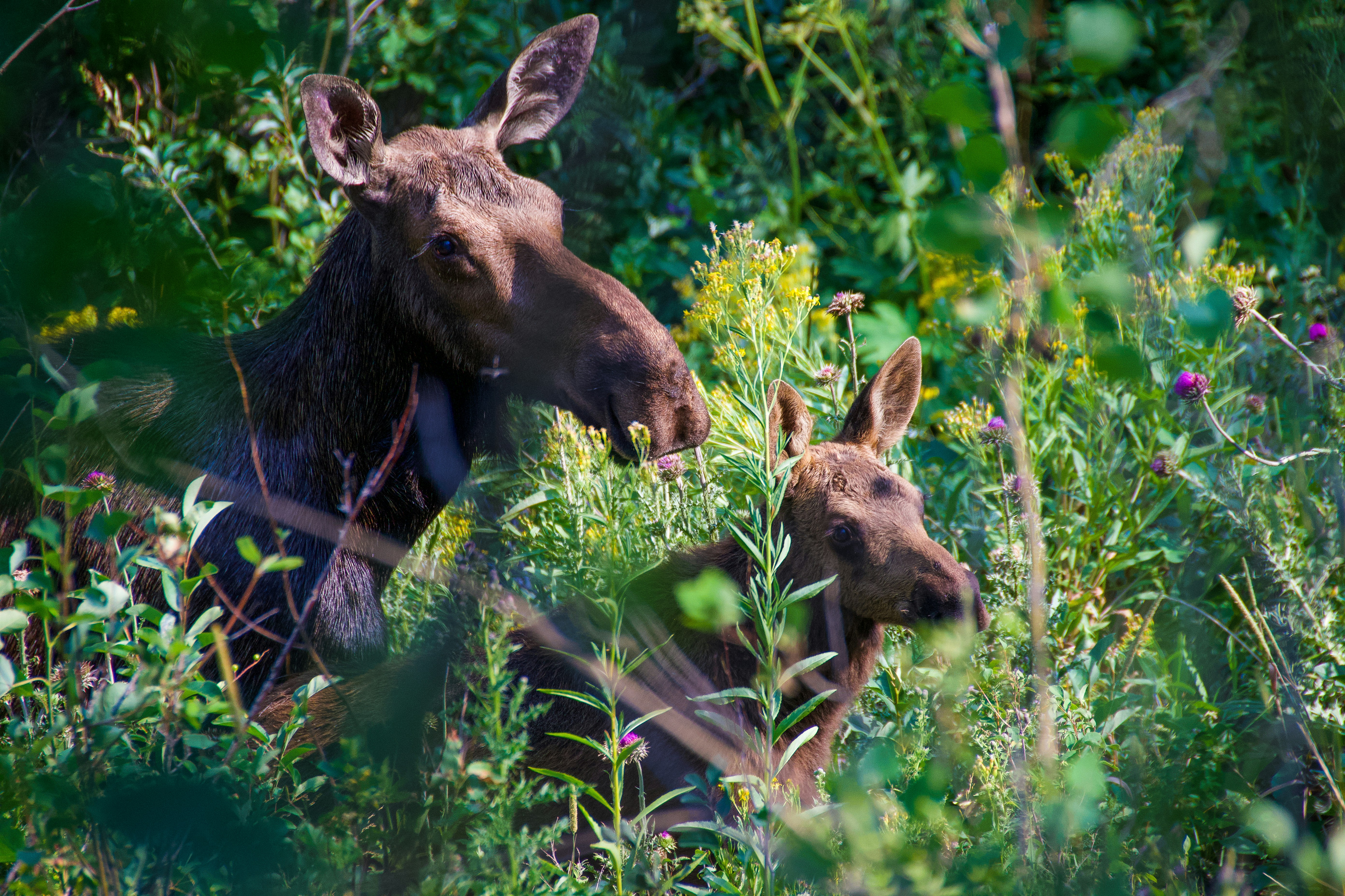 Photo by jackcharles