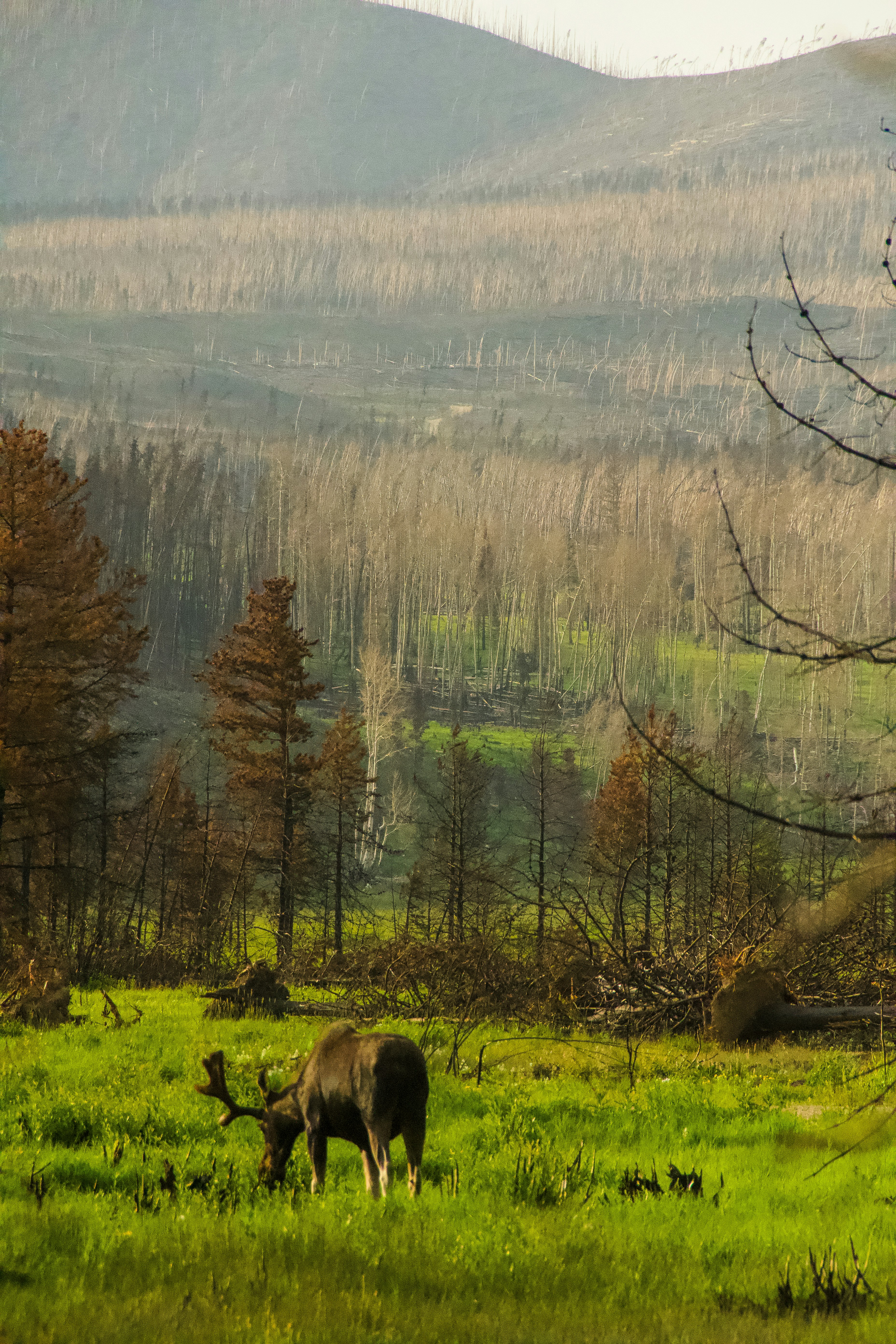 Photo by jackcharles