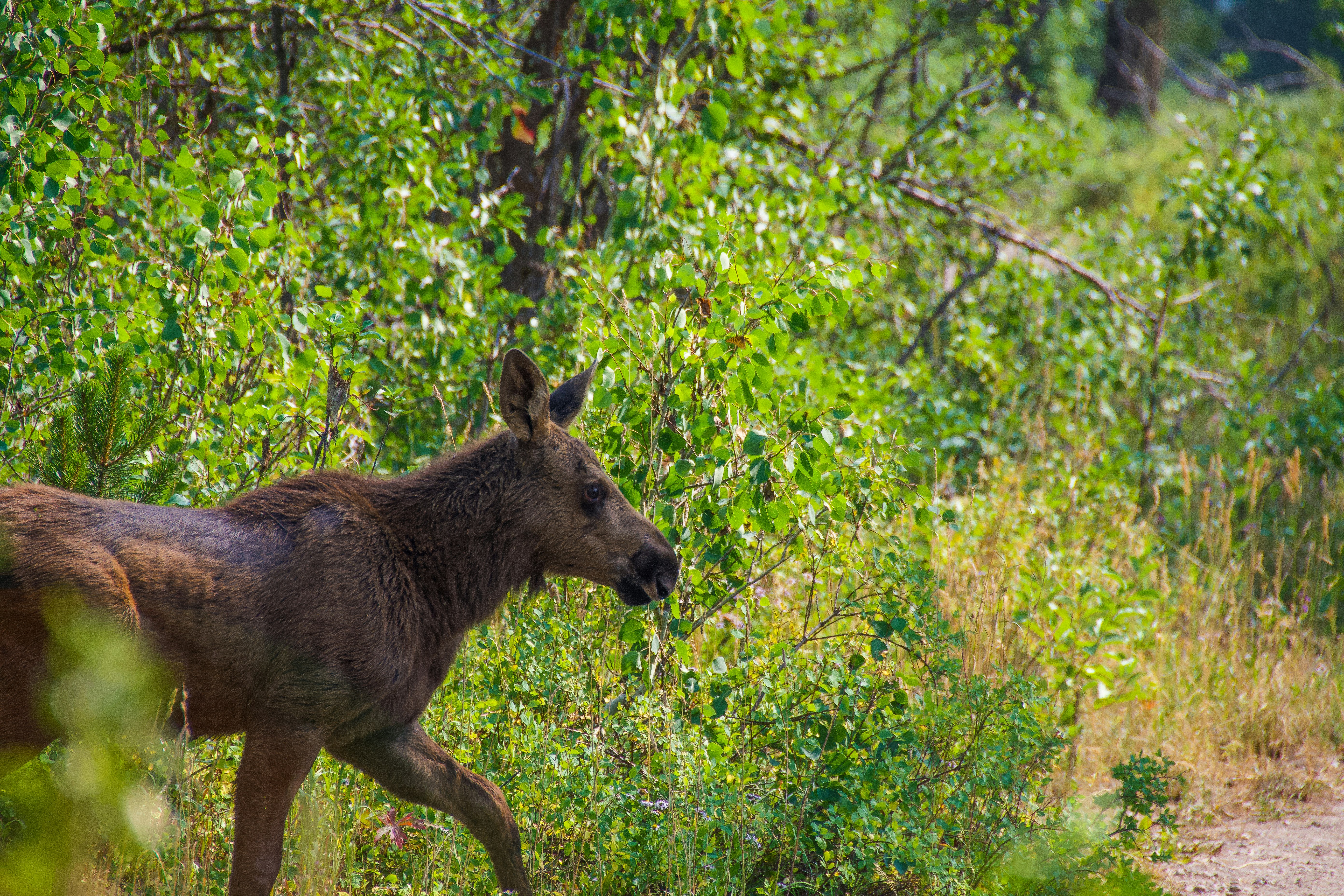 Photo by jackcharles