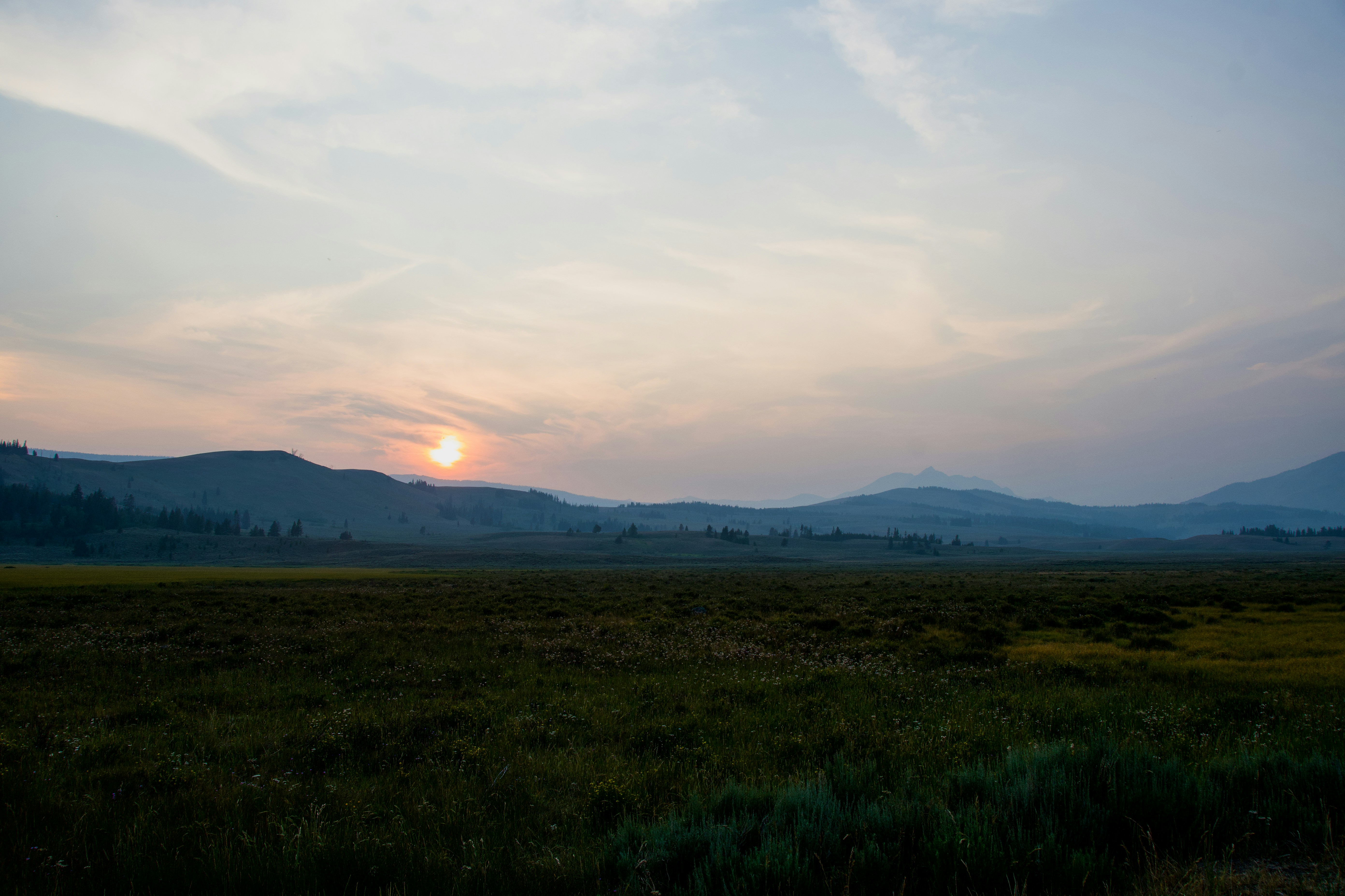 Photo by jackcharles