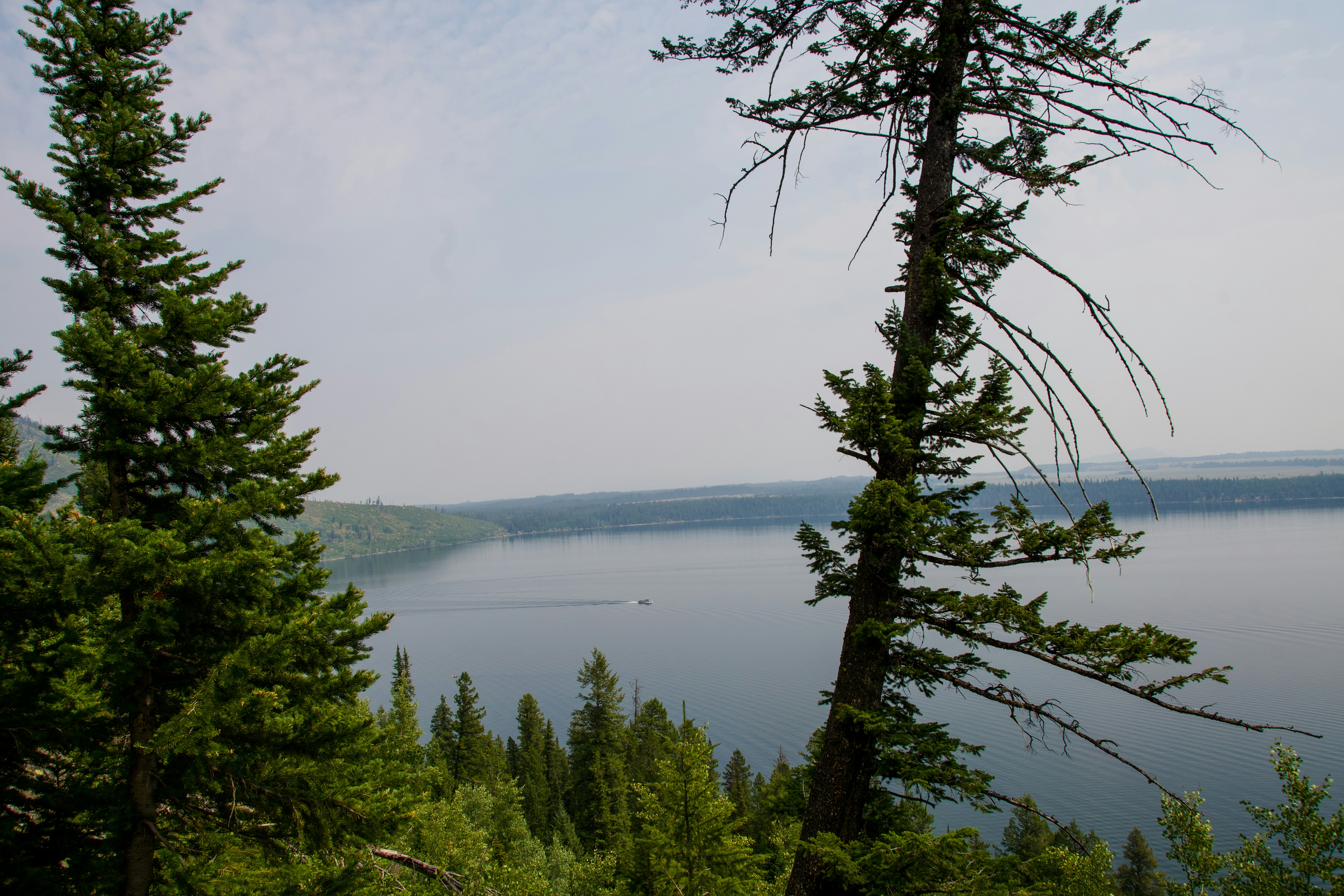 Photo by jackcharles