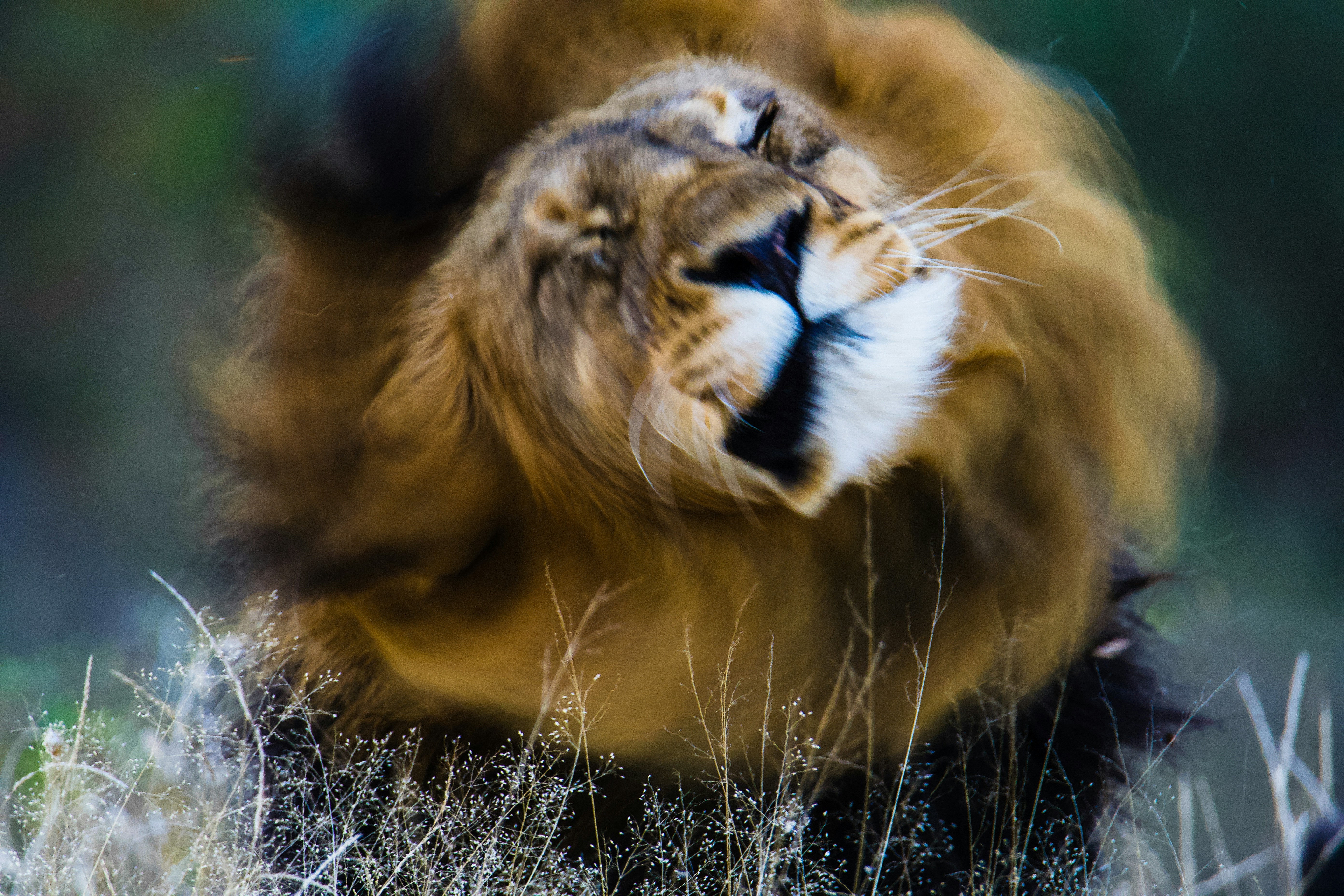 Photo by jackcharles