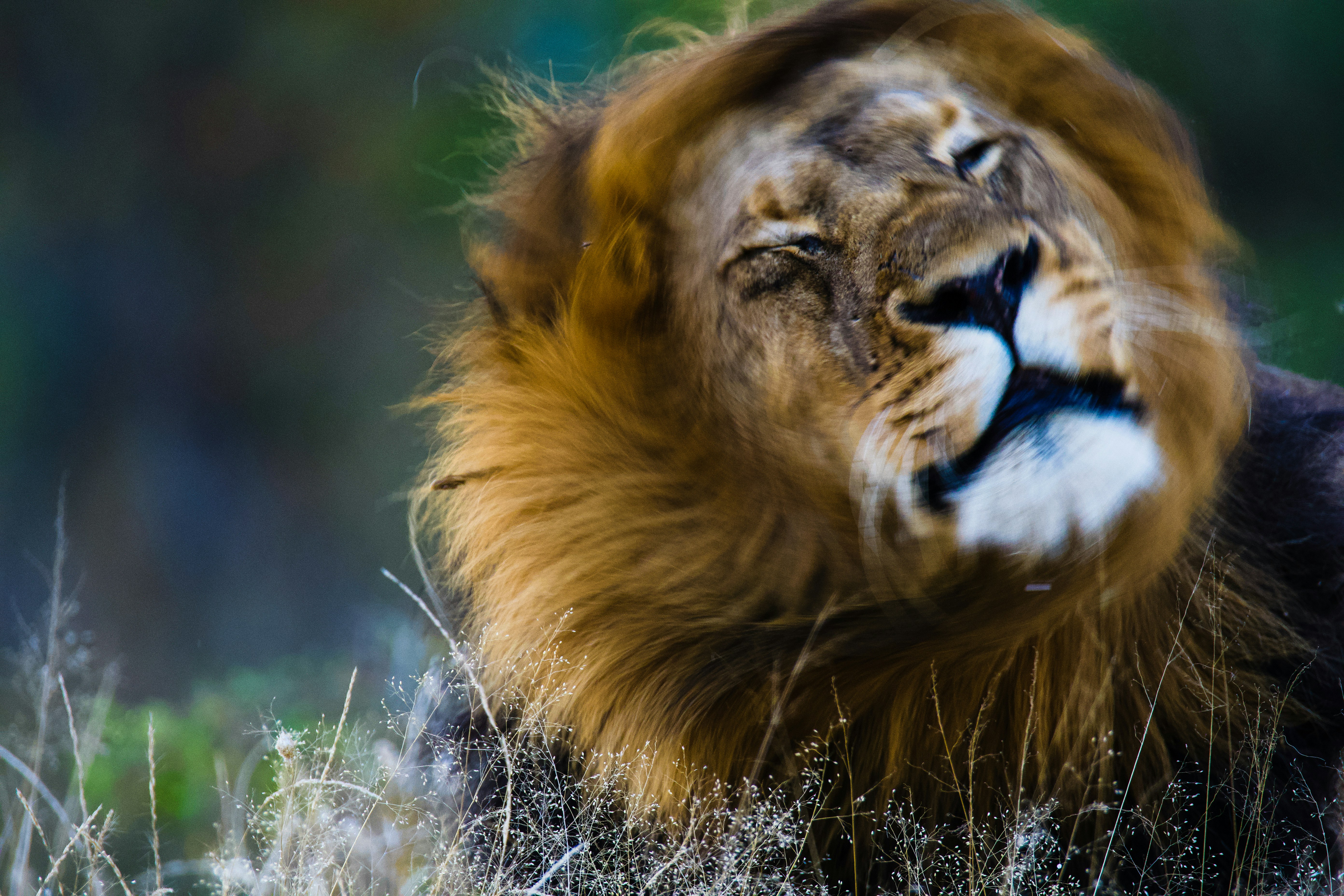 Photo by jackcharles