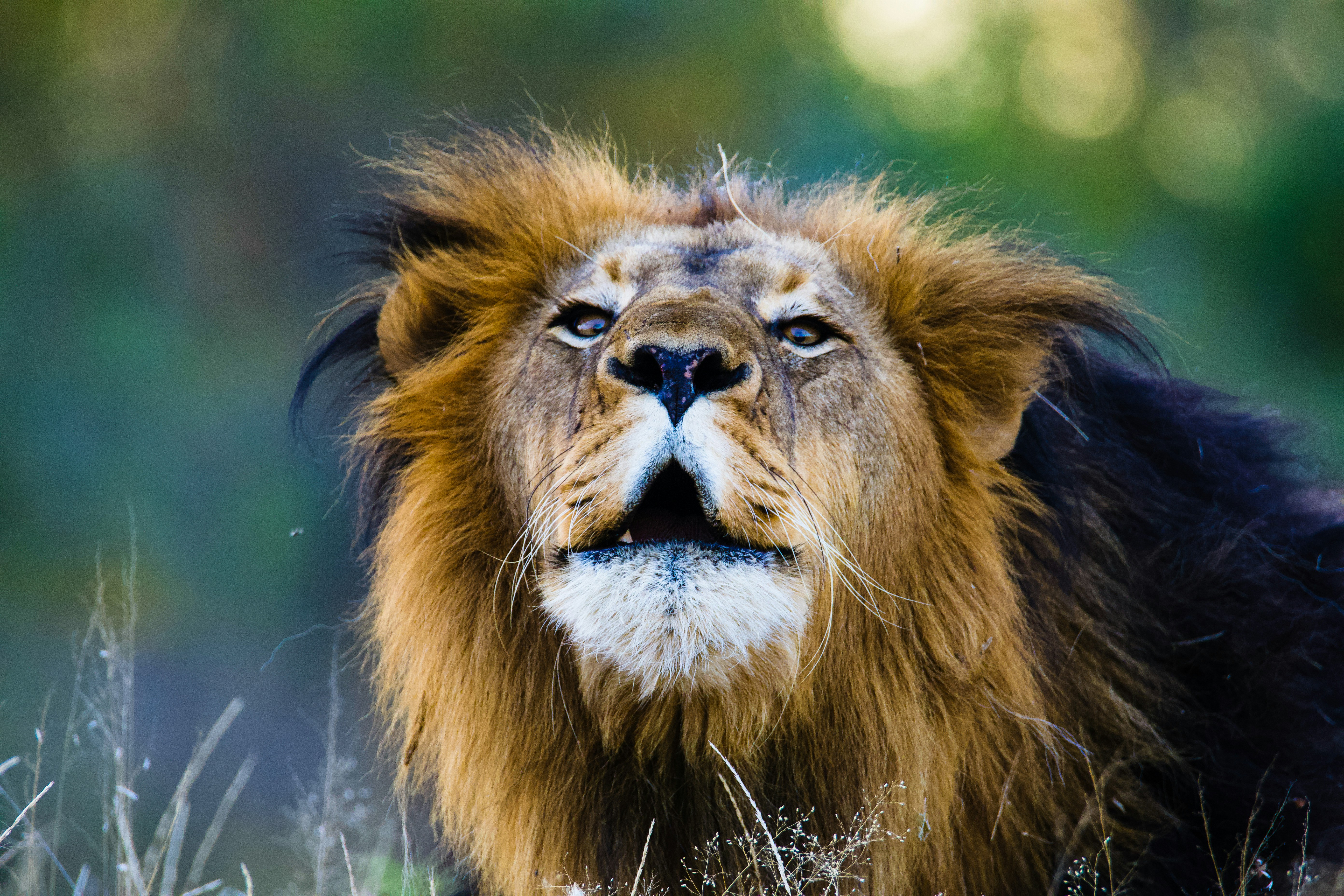 Photo by jackcharles