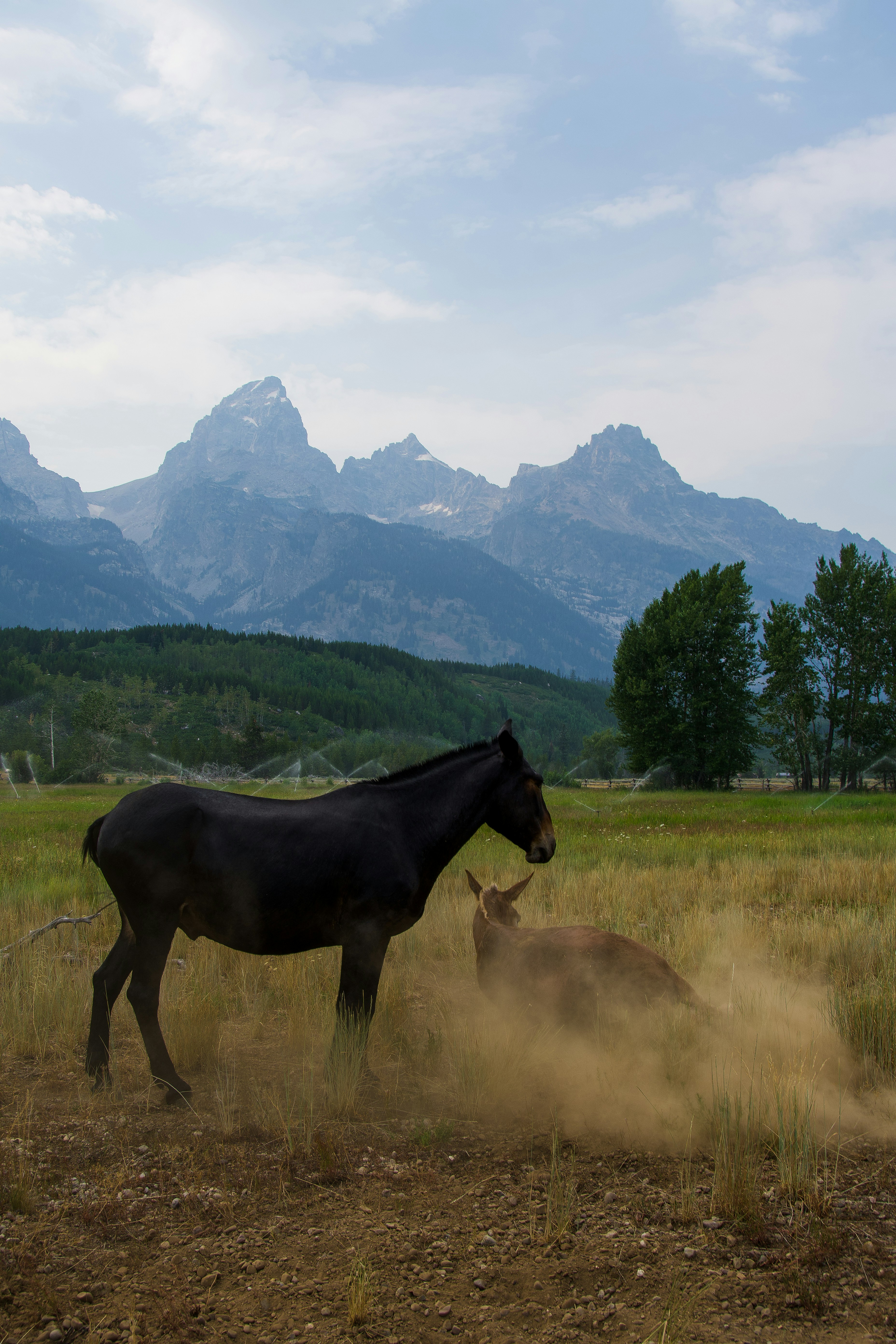 Photo by jackcharles