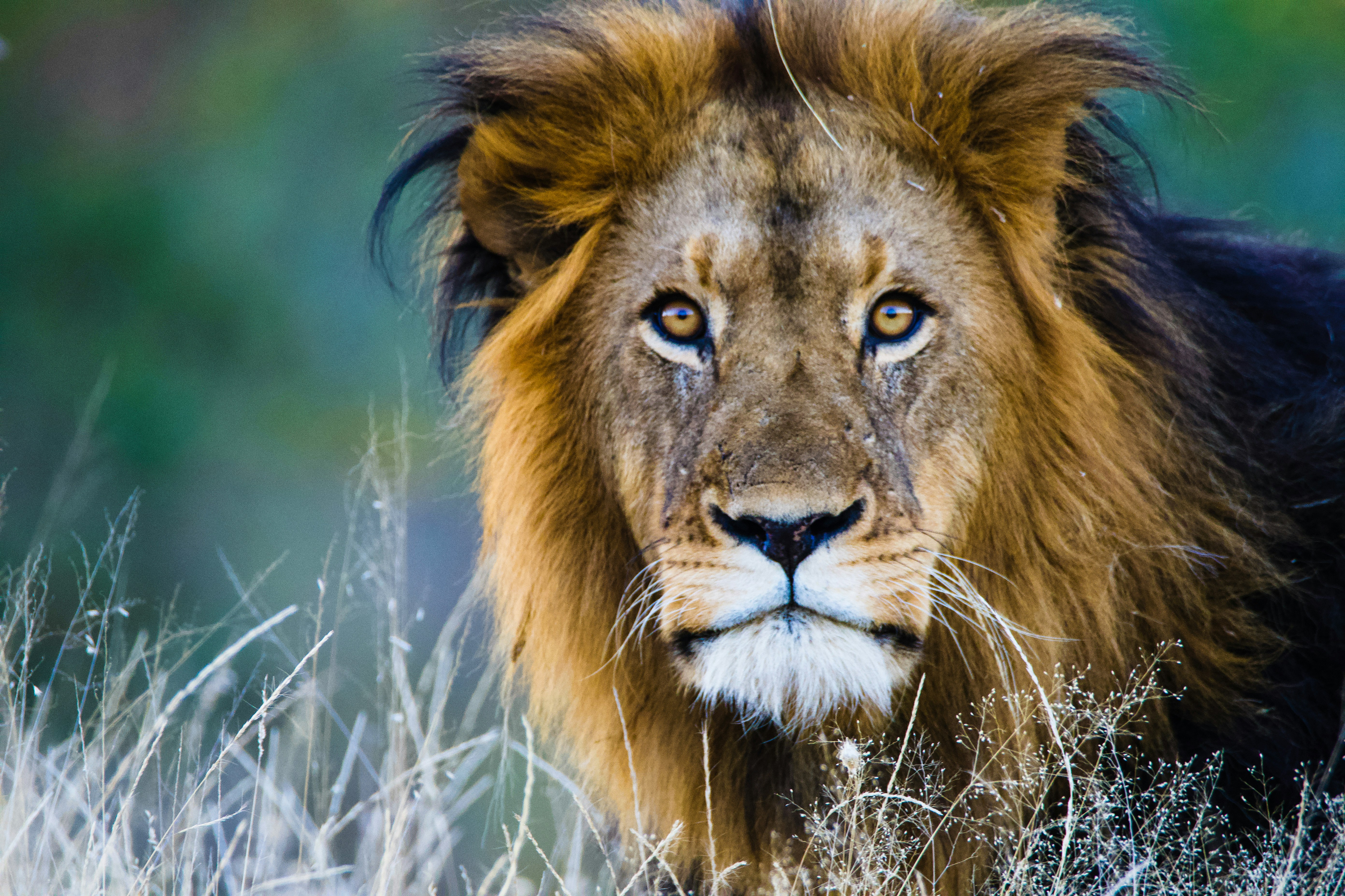 Photo by jackcharles