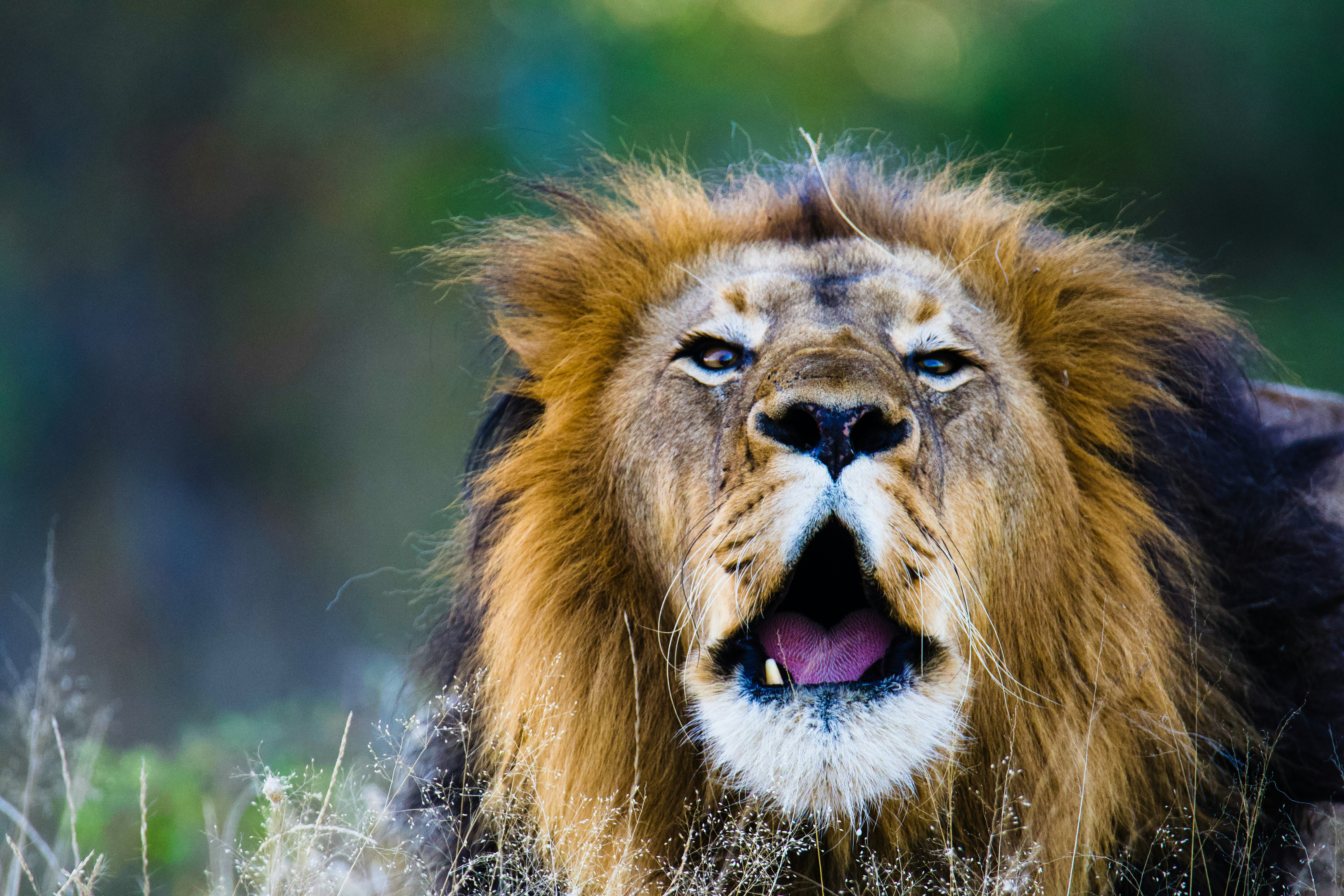 Photo by jackcharles