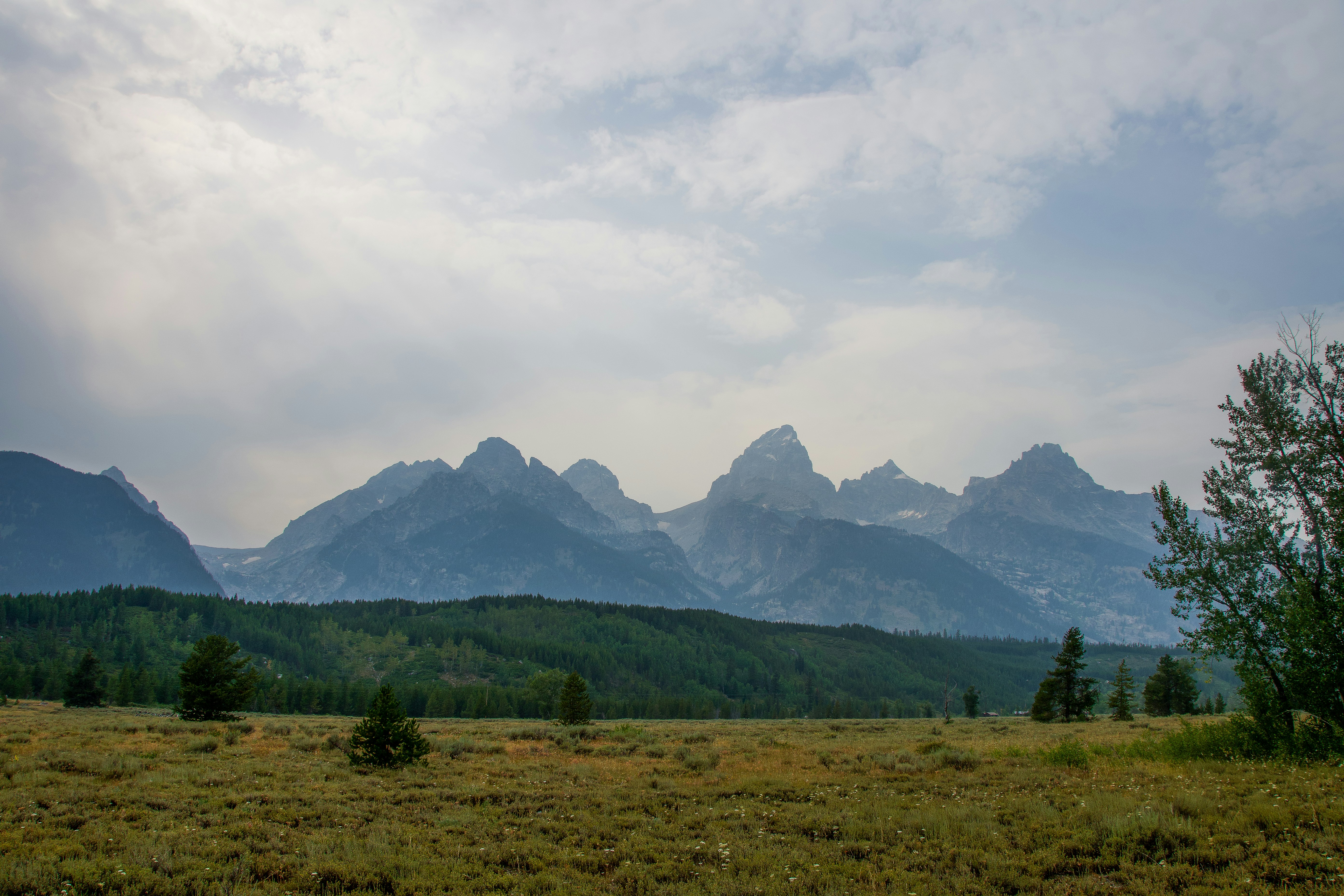 Photo by jackcharles