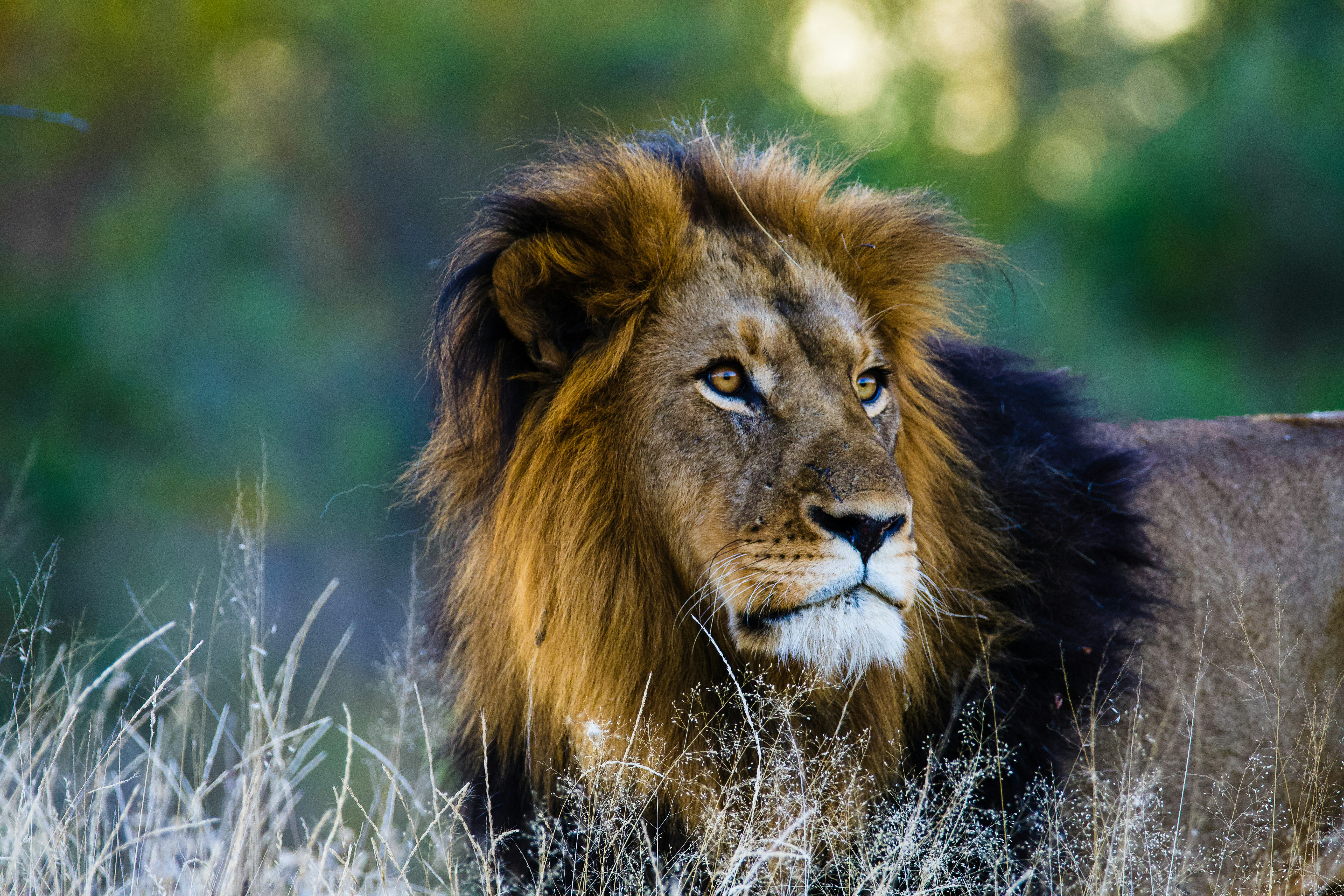 Photo by jackcharles