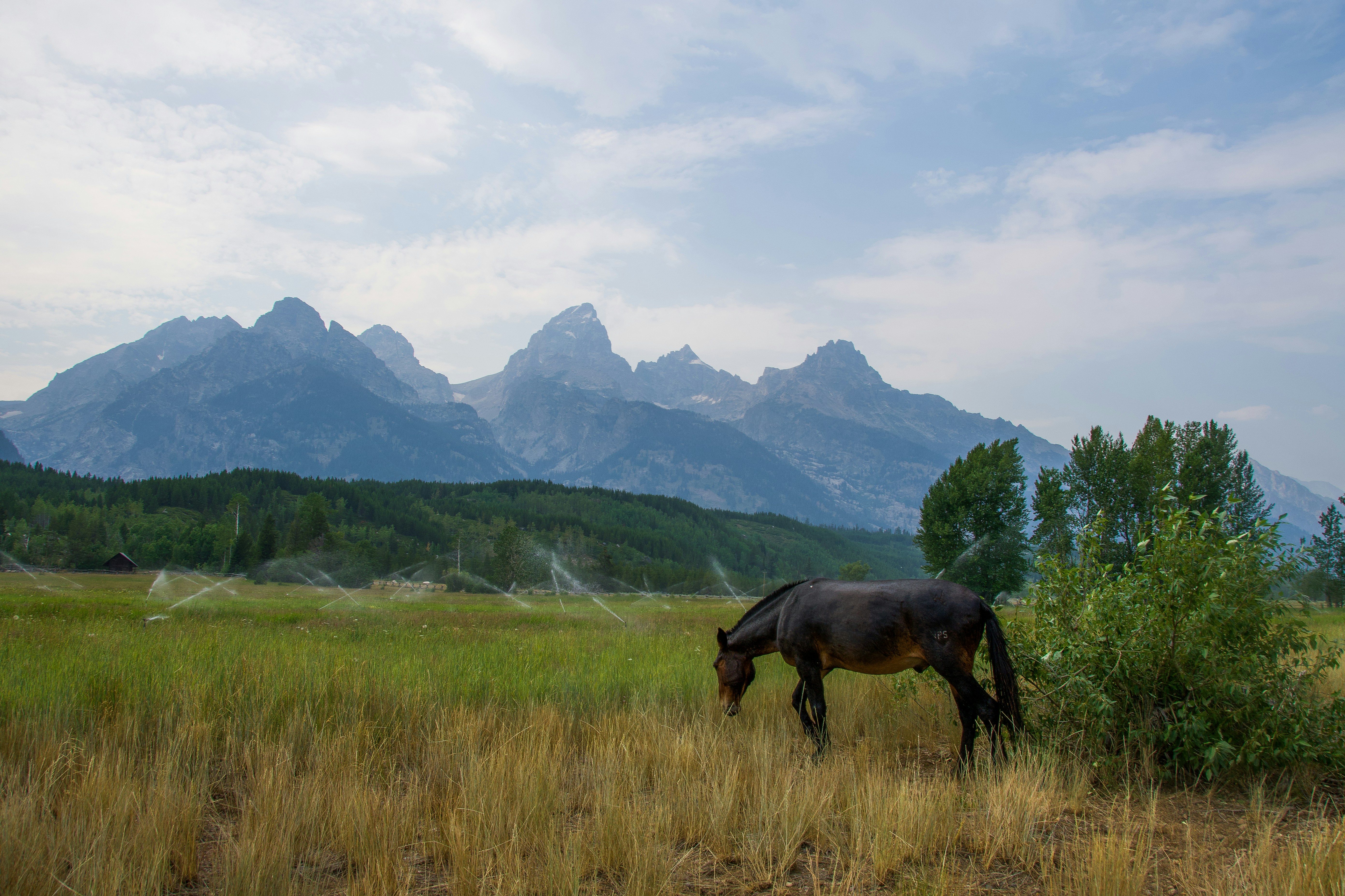 Photo by jackcharles