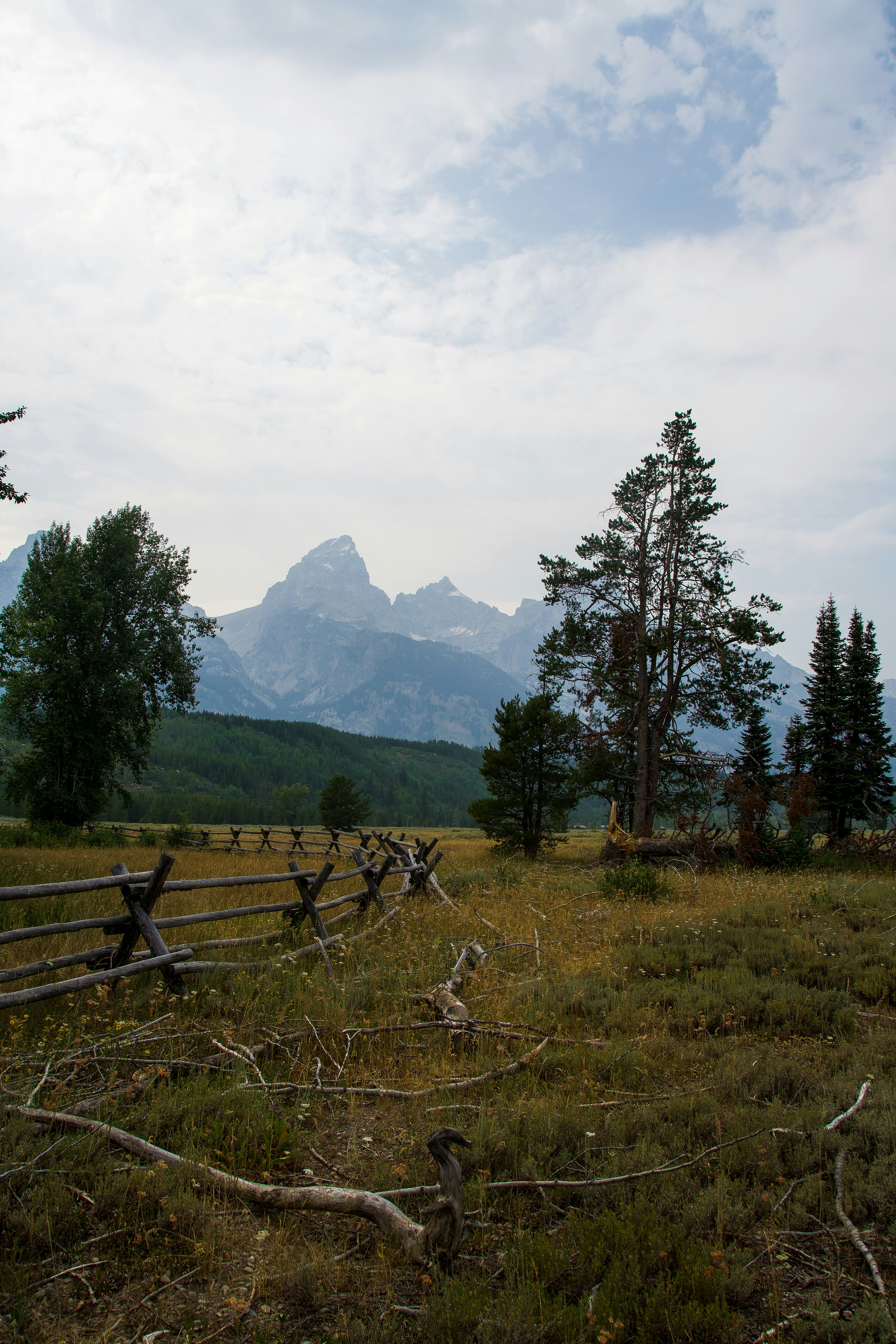 Photo by jackcharles