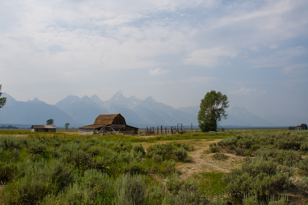 a barn in a field with mountains in the background