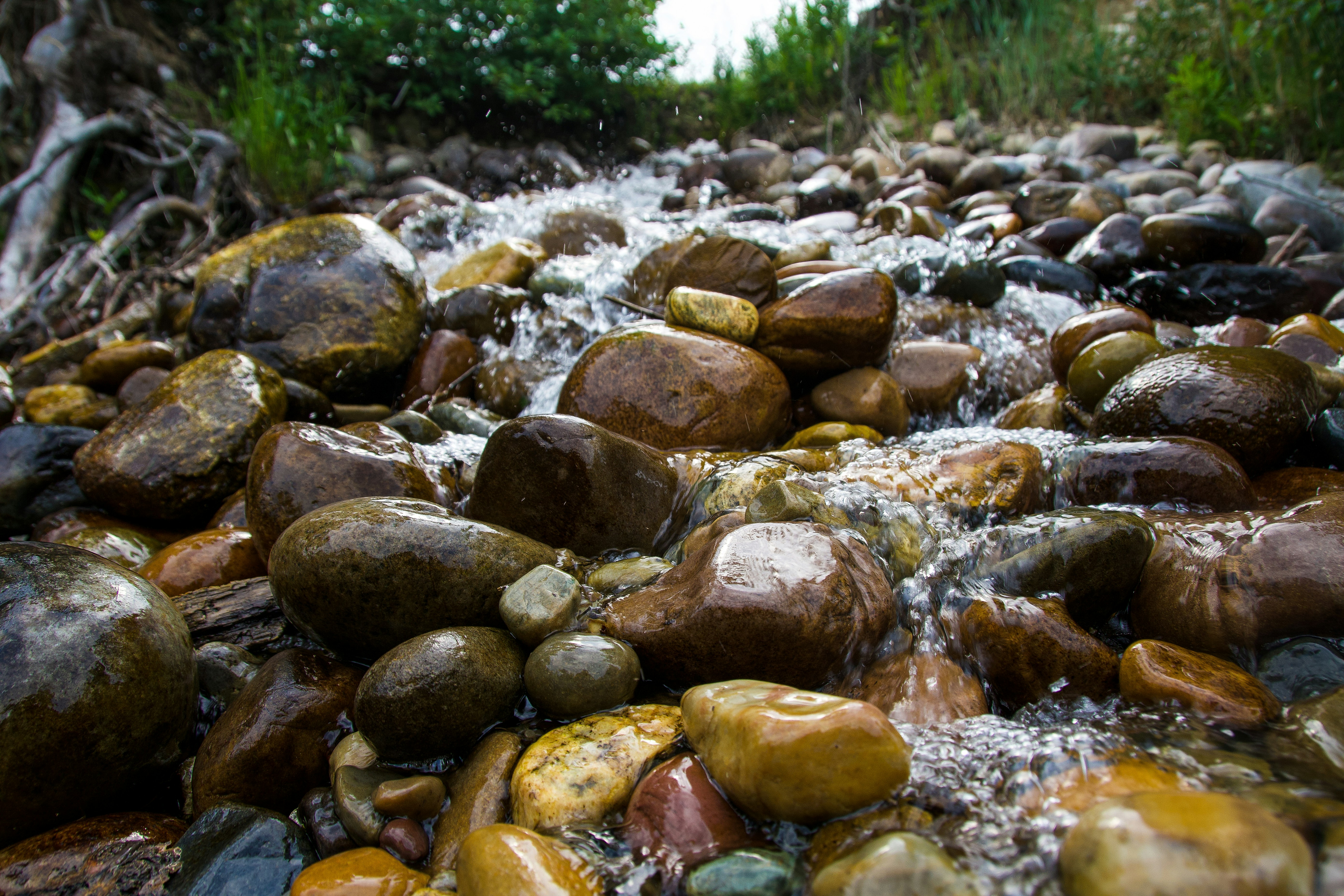 Ohi, che tipo di armi si potrebbero inventare per Warhammer 40k, dato che  l'universo è così vasto che ci saranno altri tipi di armi? :  r/Warhammer40kEsp, image size:3000x2000