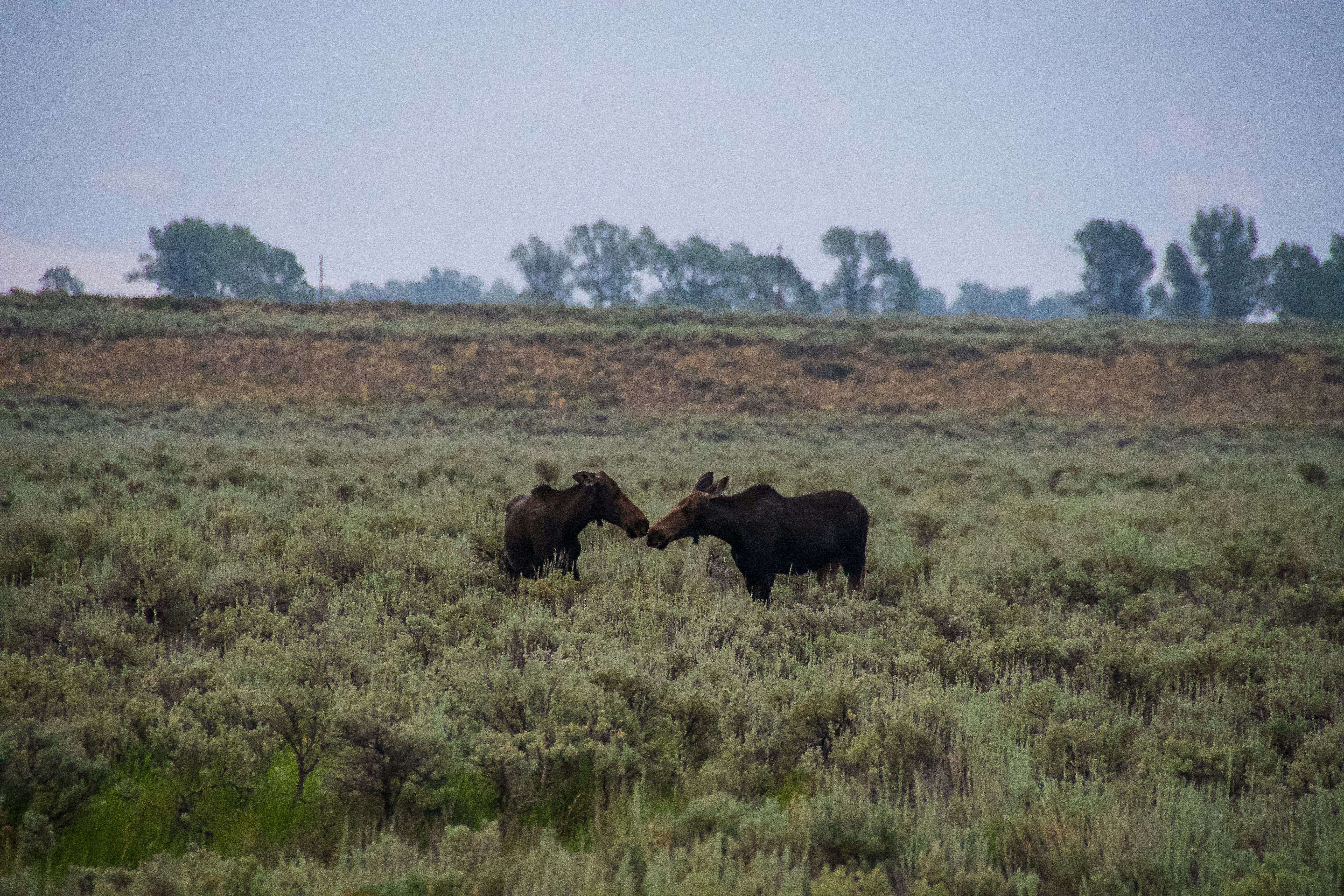 Photo by jackcharles