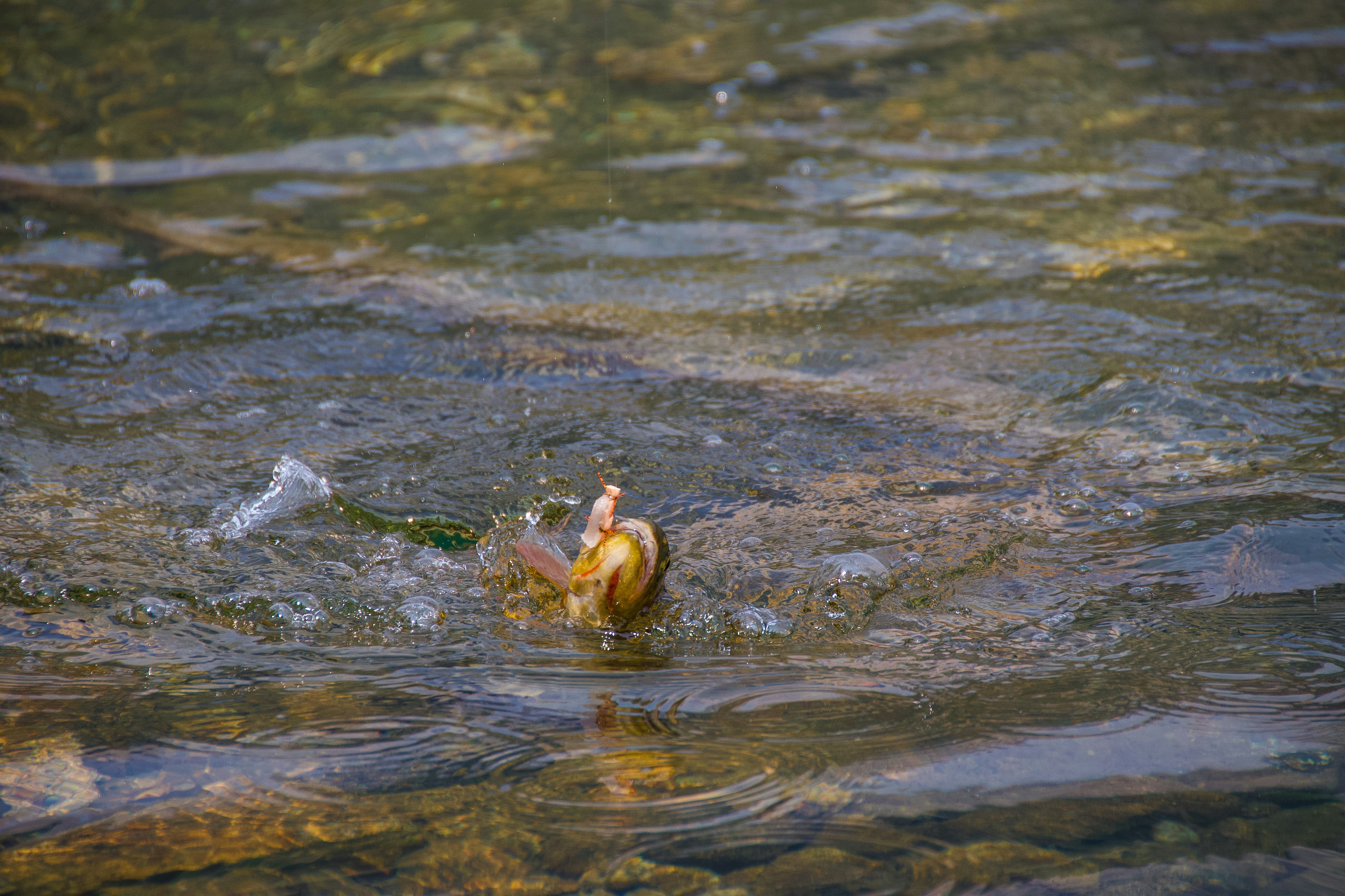 Photo by jackcharles