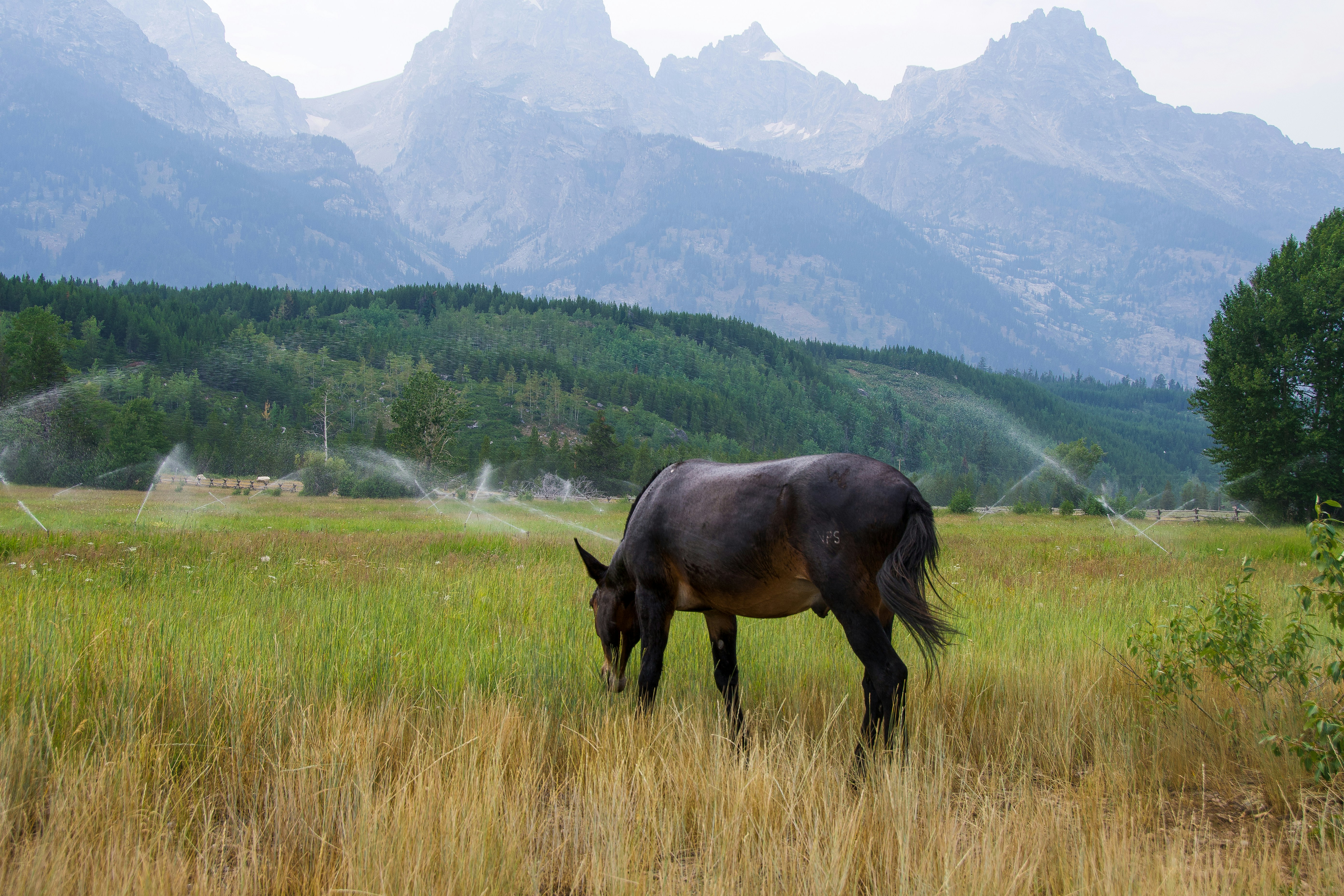 Photo by jackcharles