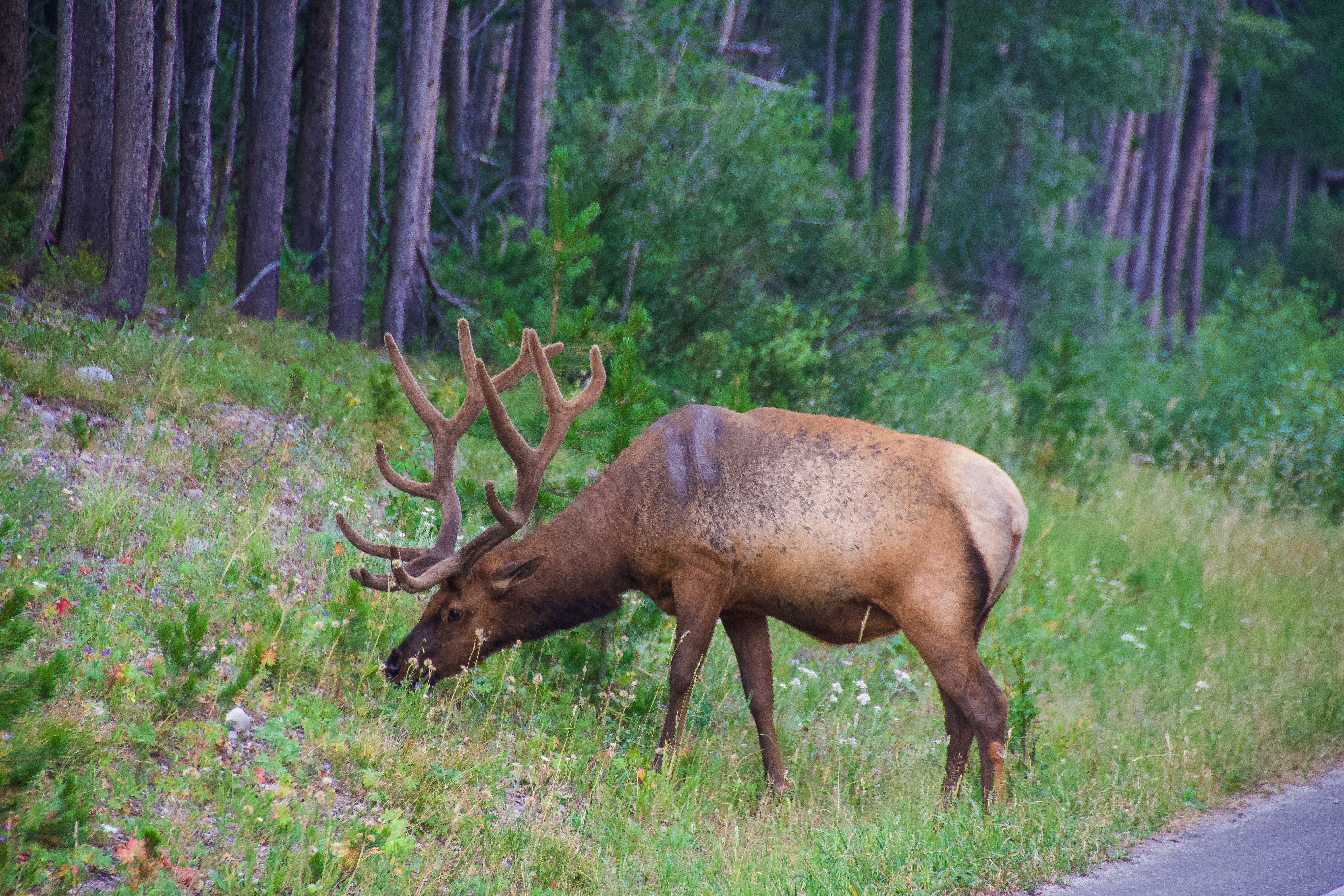Photo by jackcharles