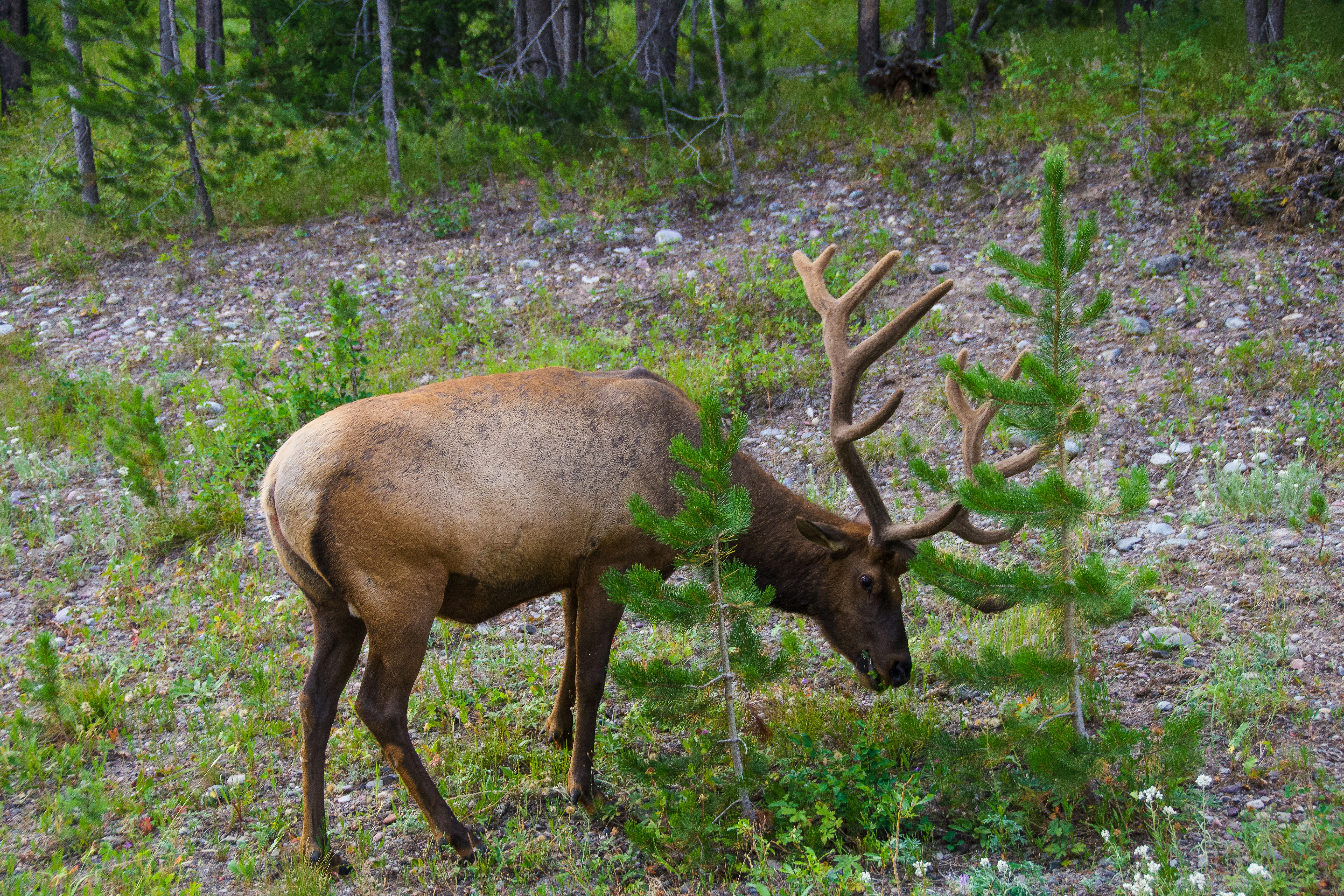Photo by jackcharles