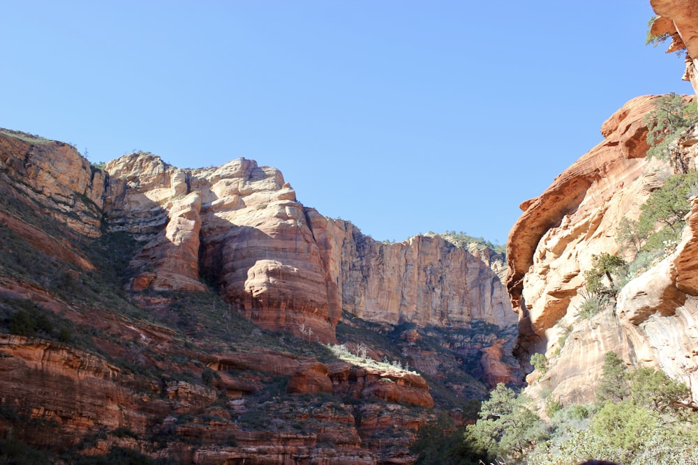 a rocky mountain with trees and bushes in the foreground