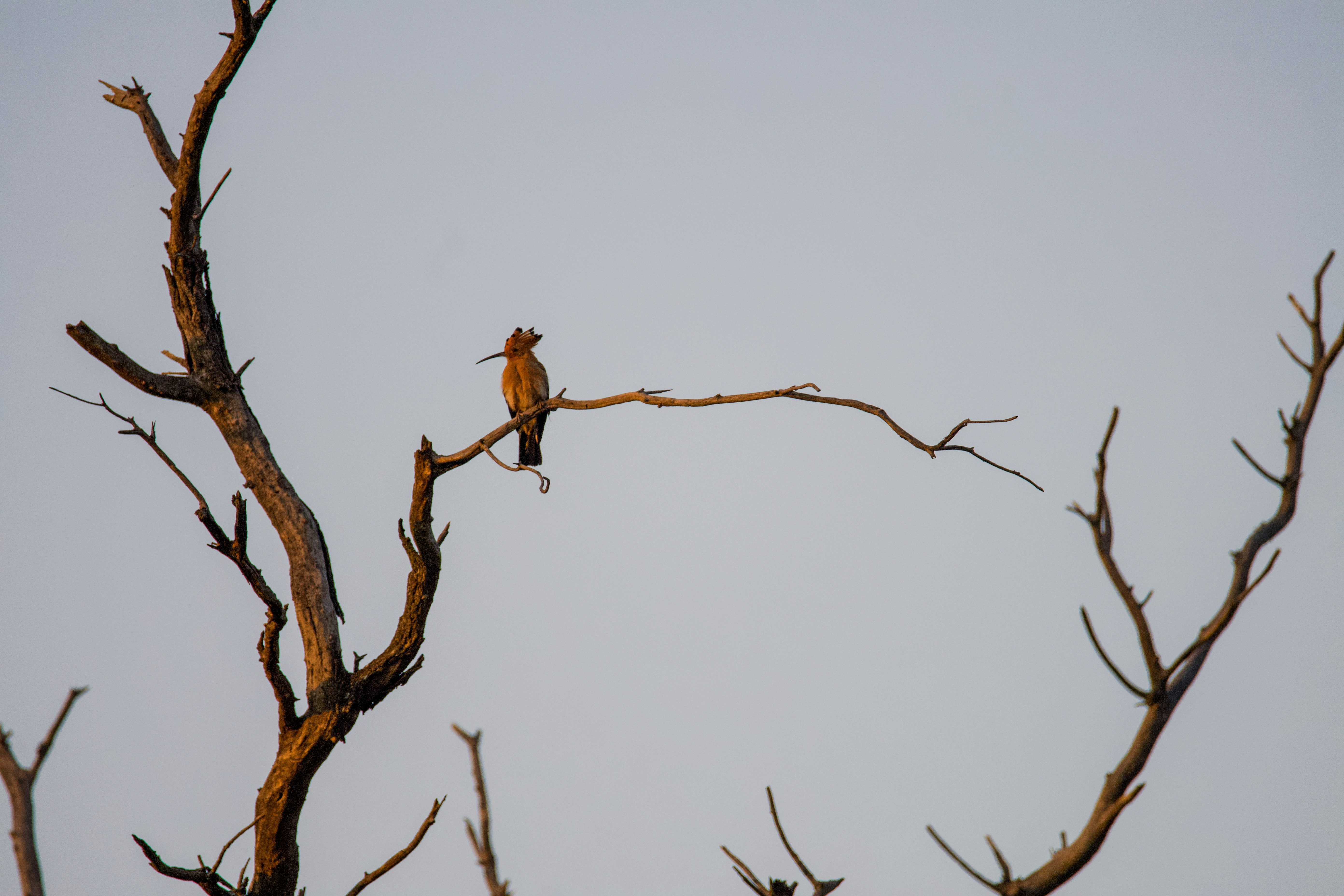 Photo by jackcharles