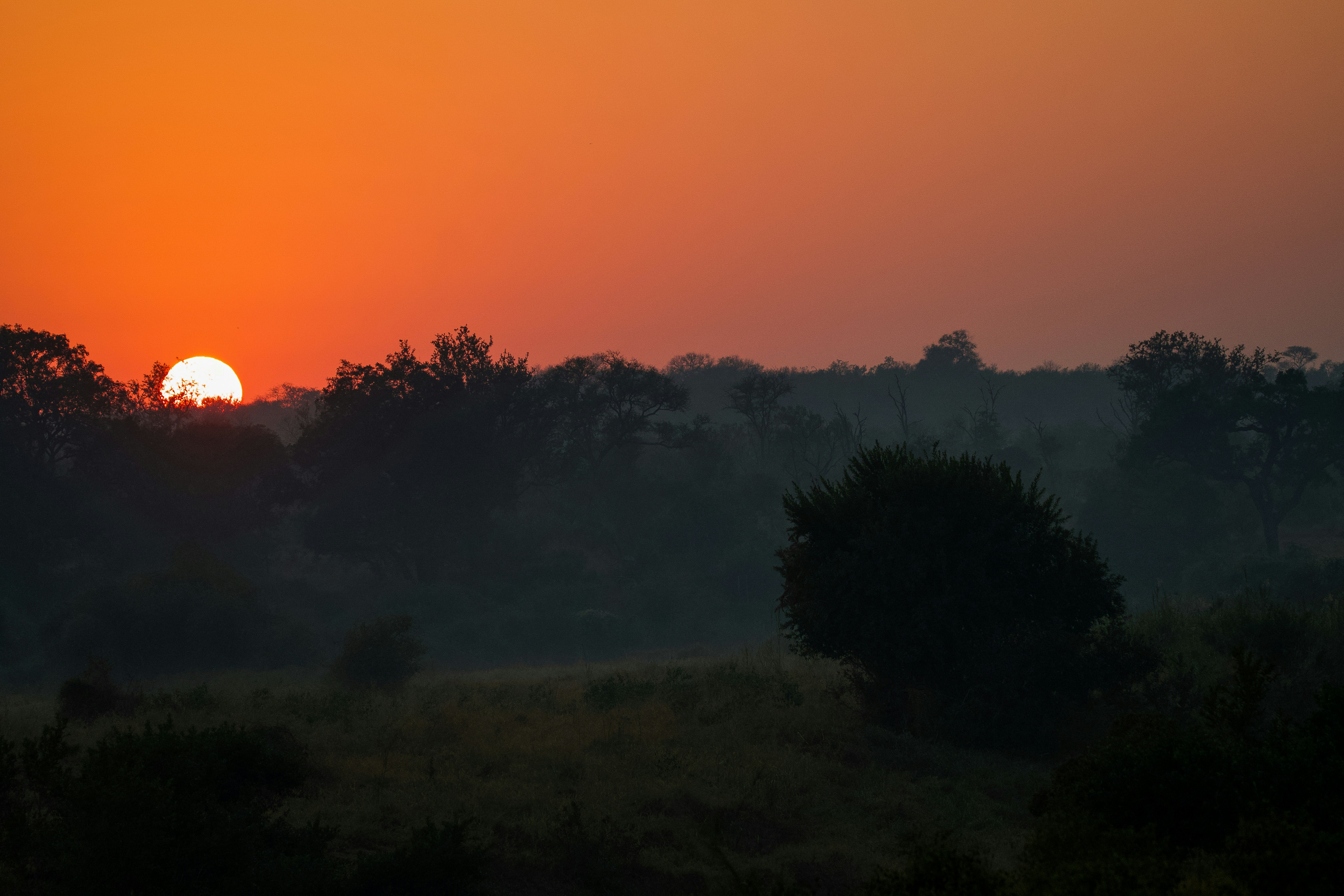 Photo by jackcharles