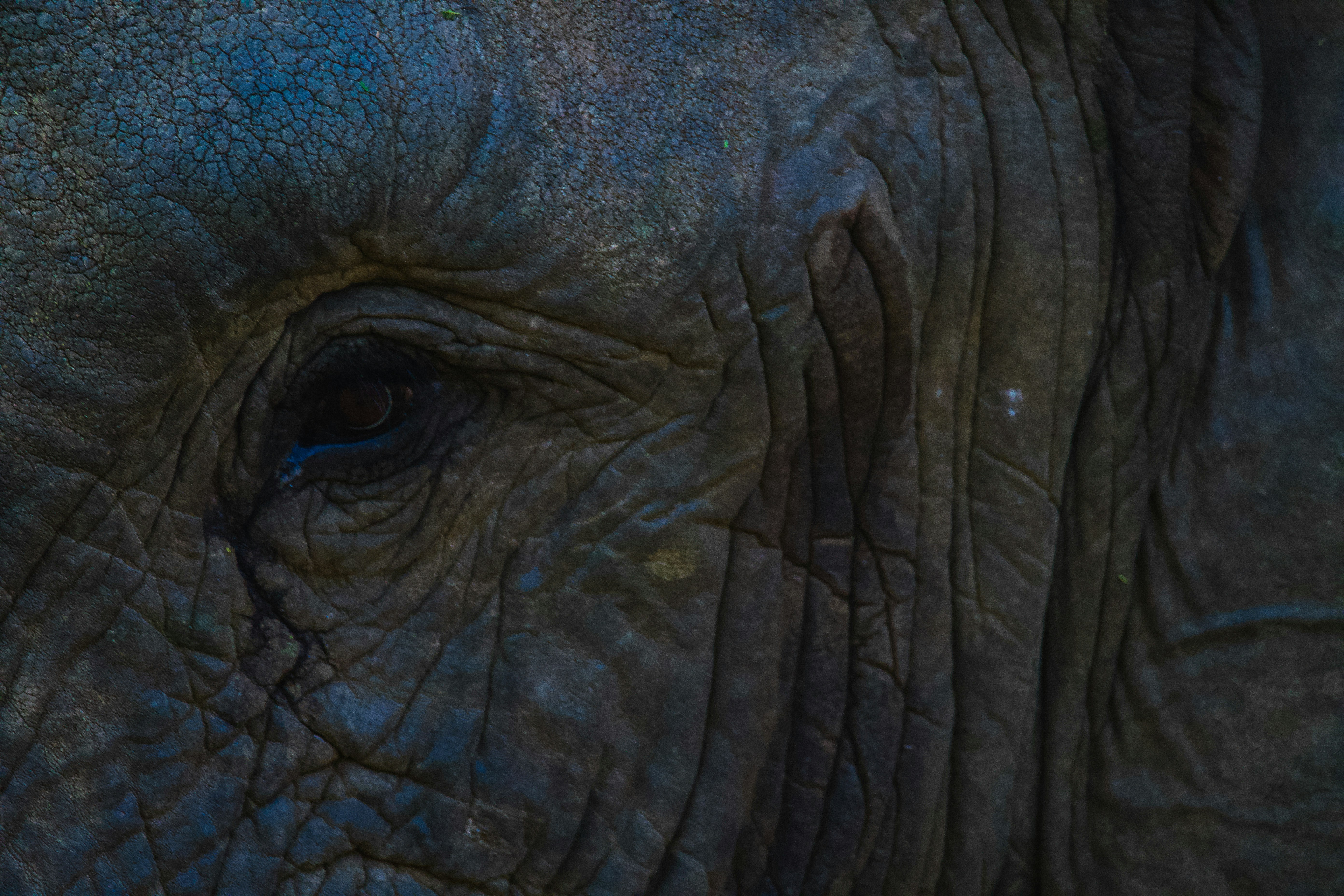 Photo by jackcharles