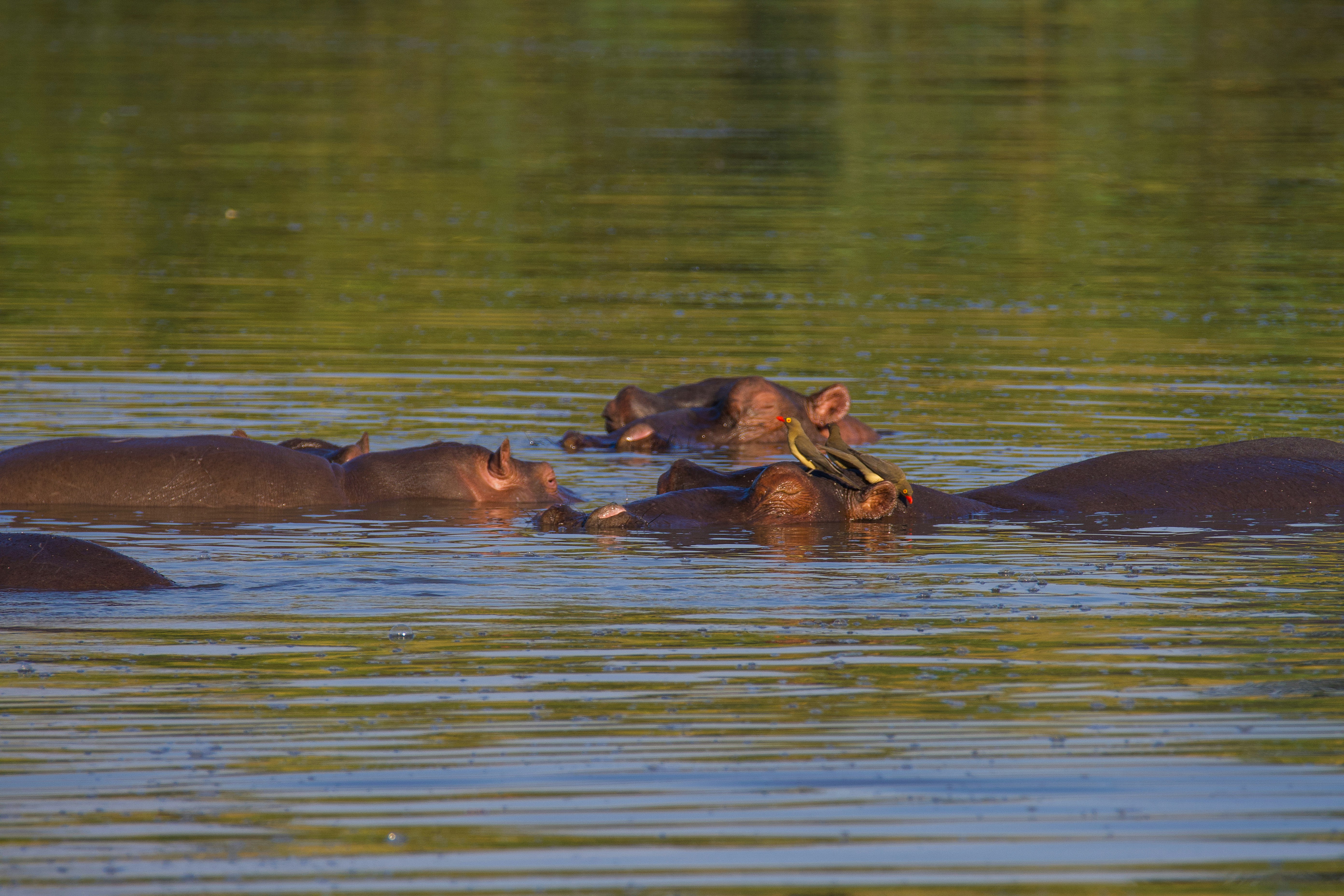 Photo by jackcharles