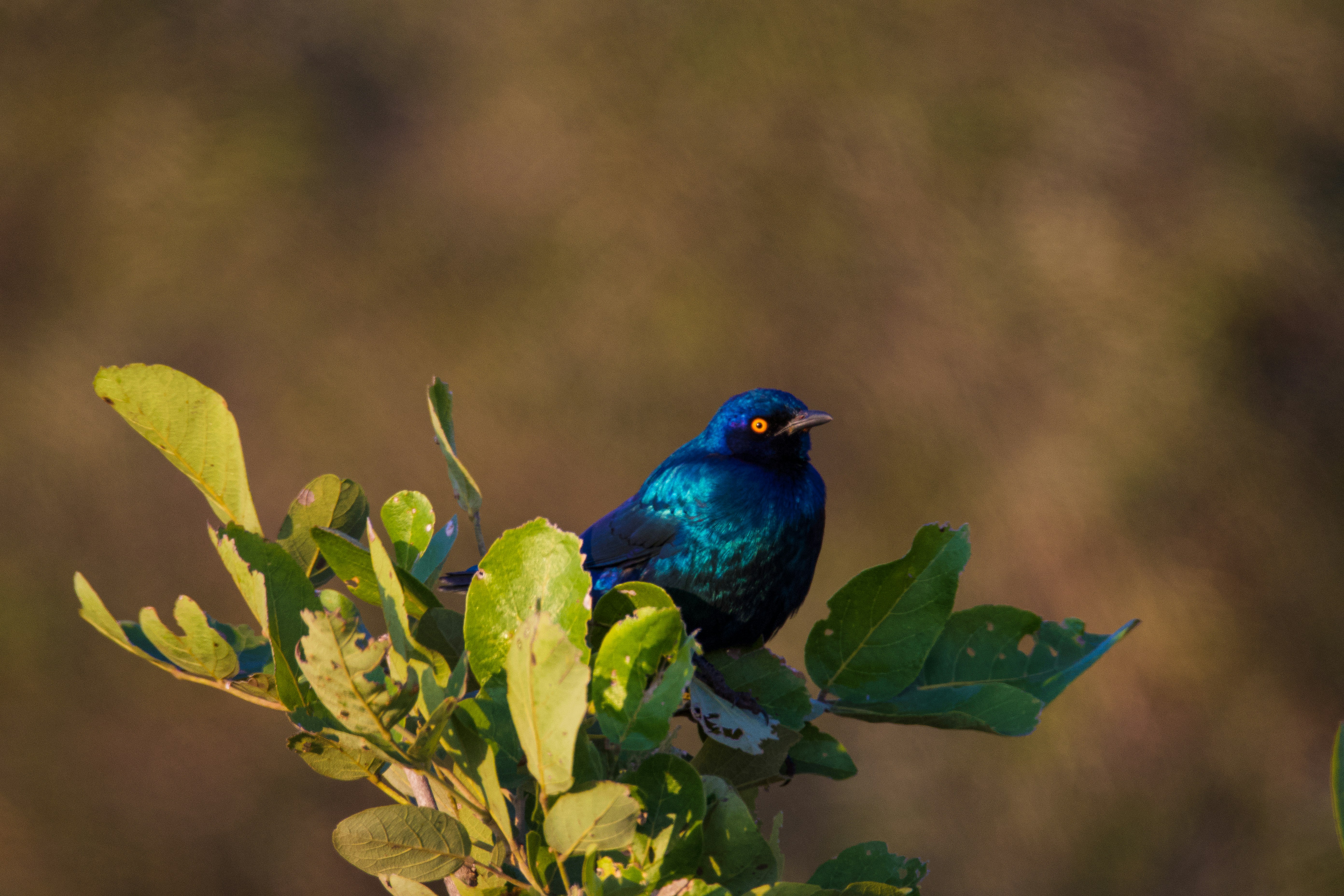 Photo by jackcharles