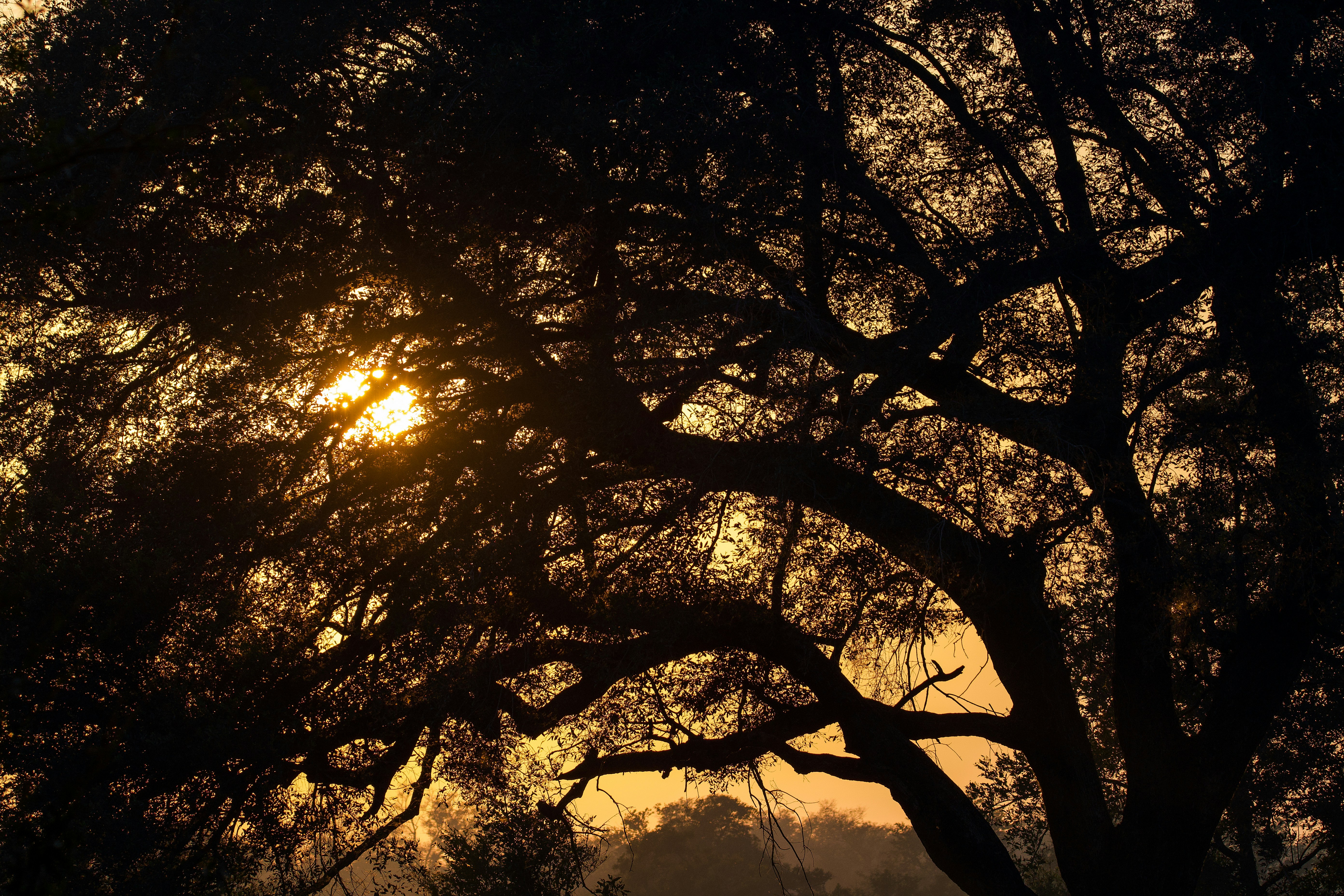 Photo by jackcharles