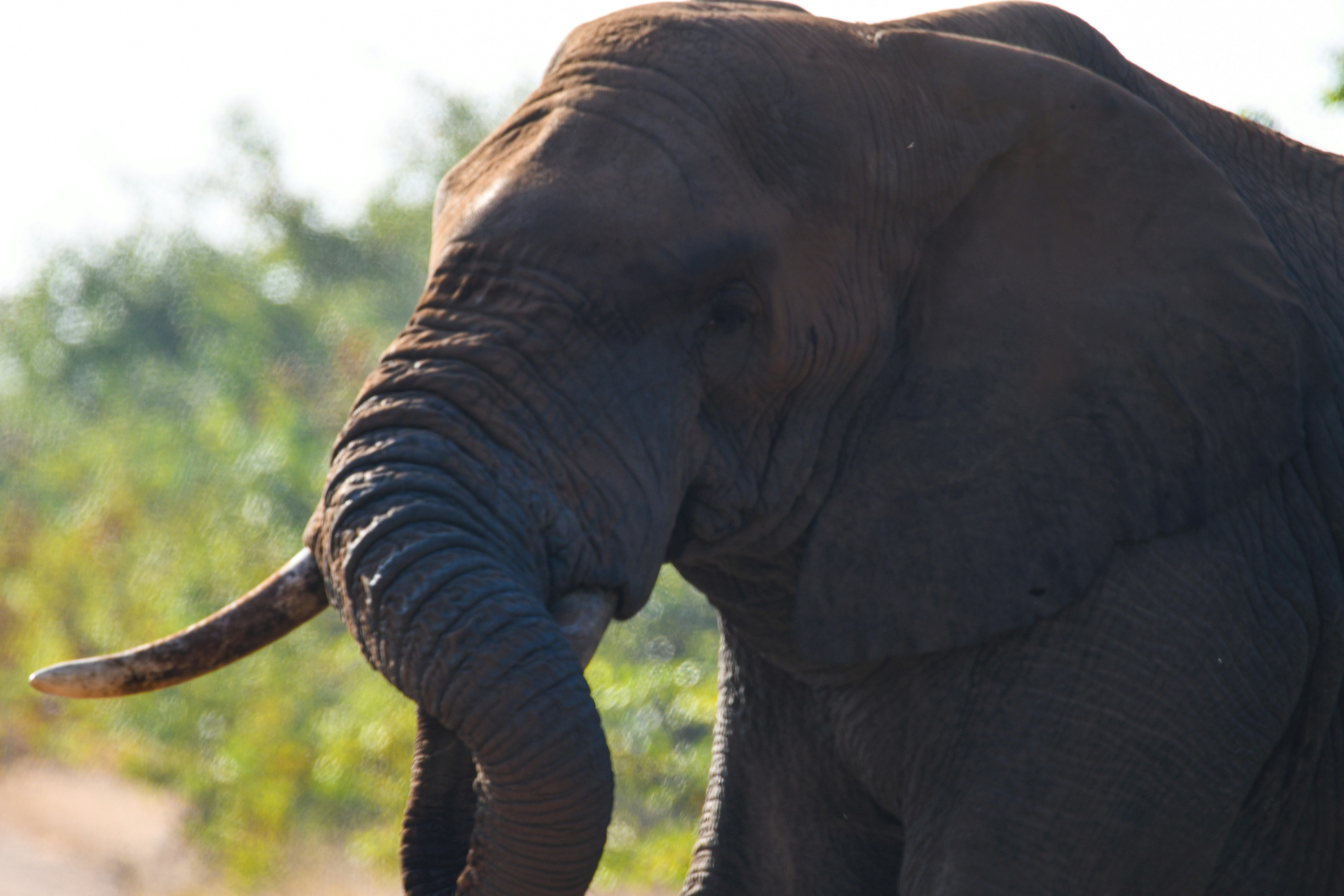 Photo by jackcharles