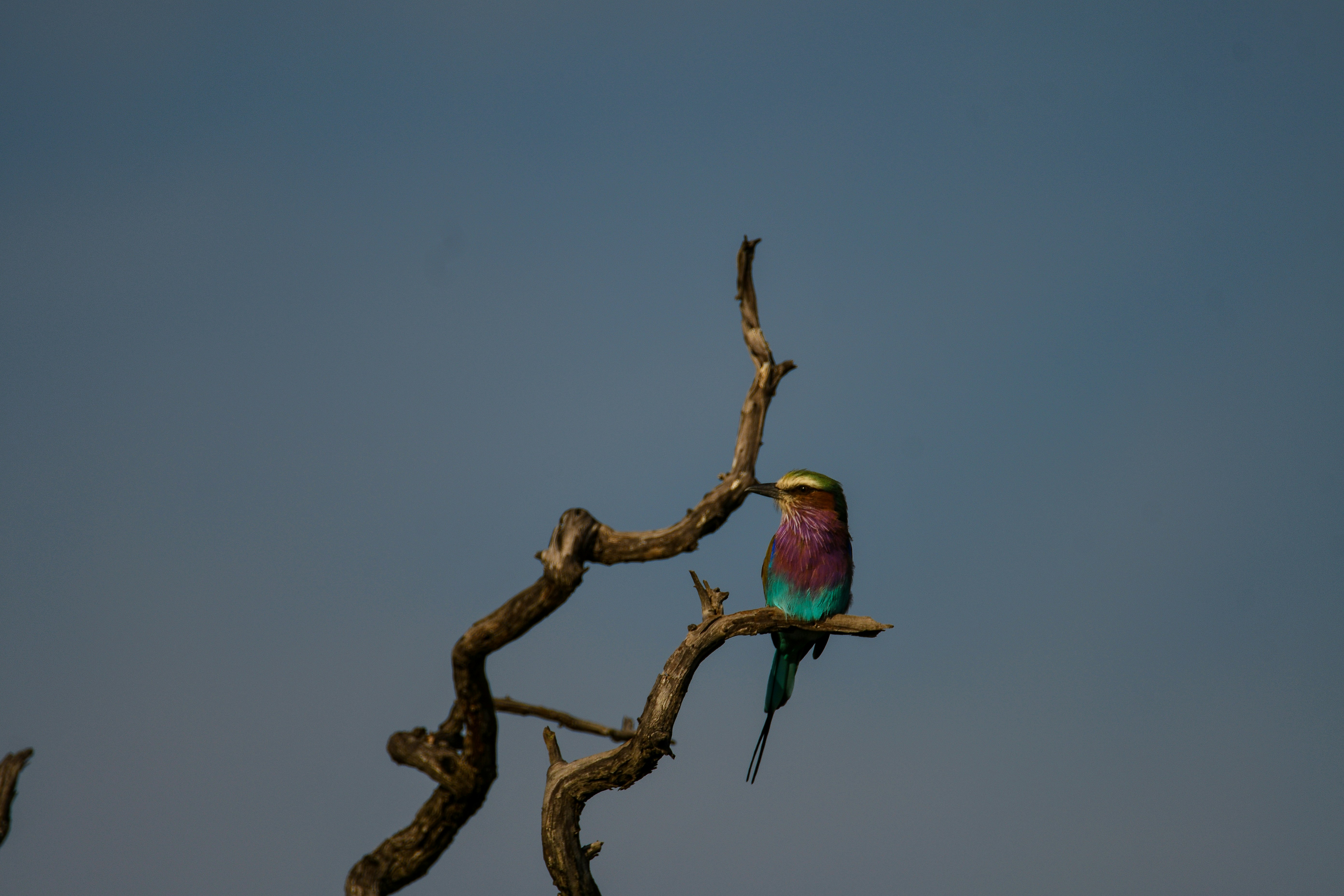 Photo by jackcharles