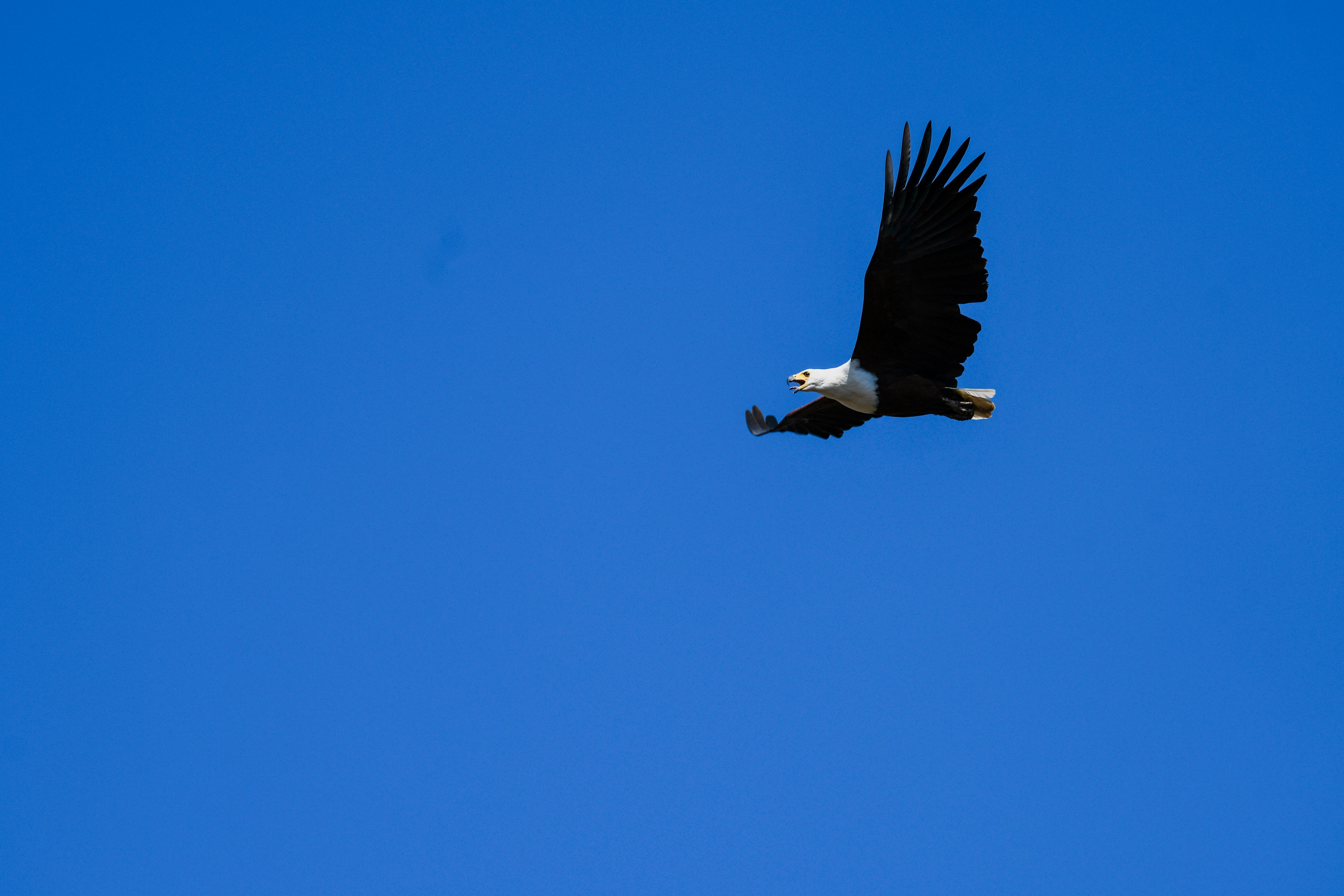 Photo by jackcharles