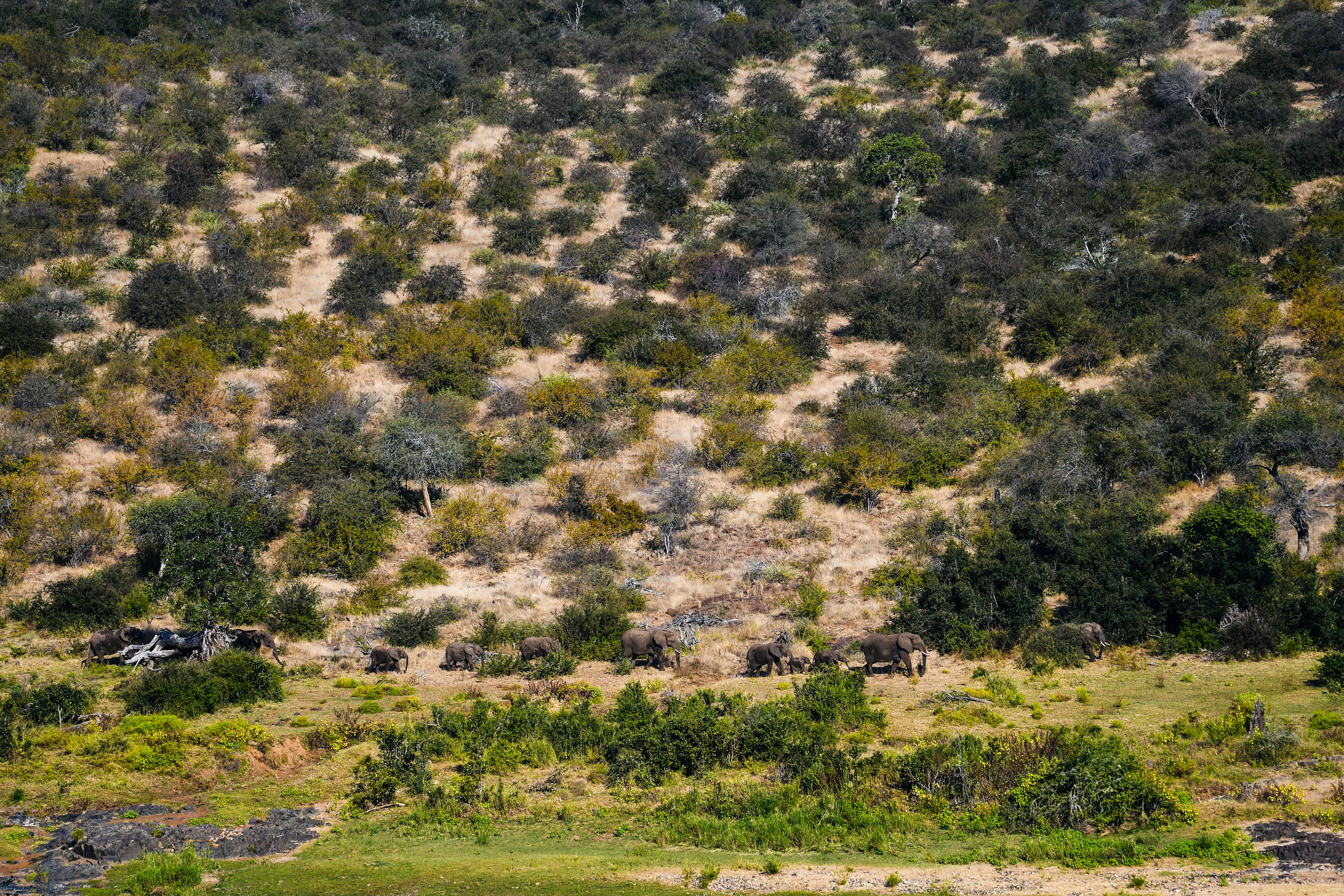 Photo by jackcharles