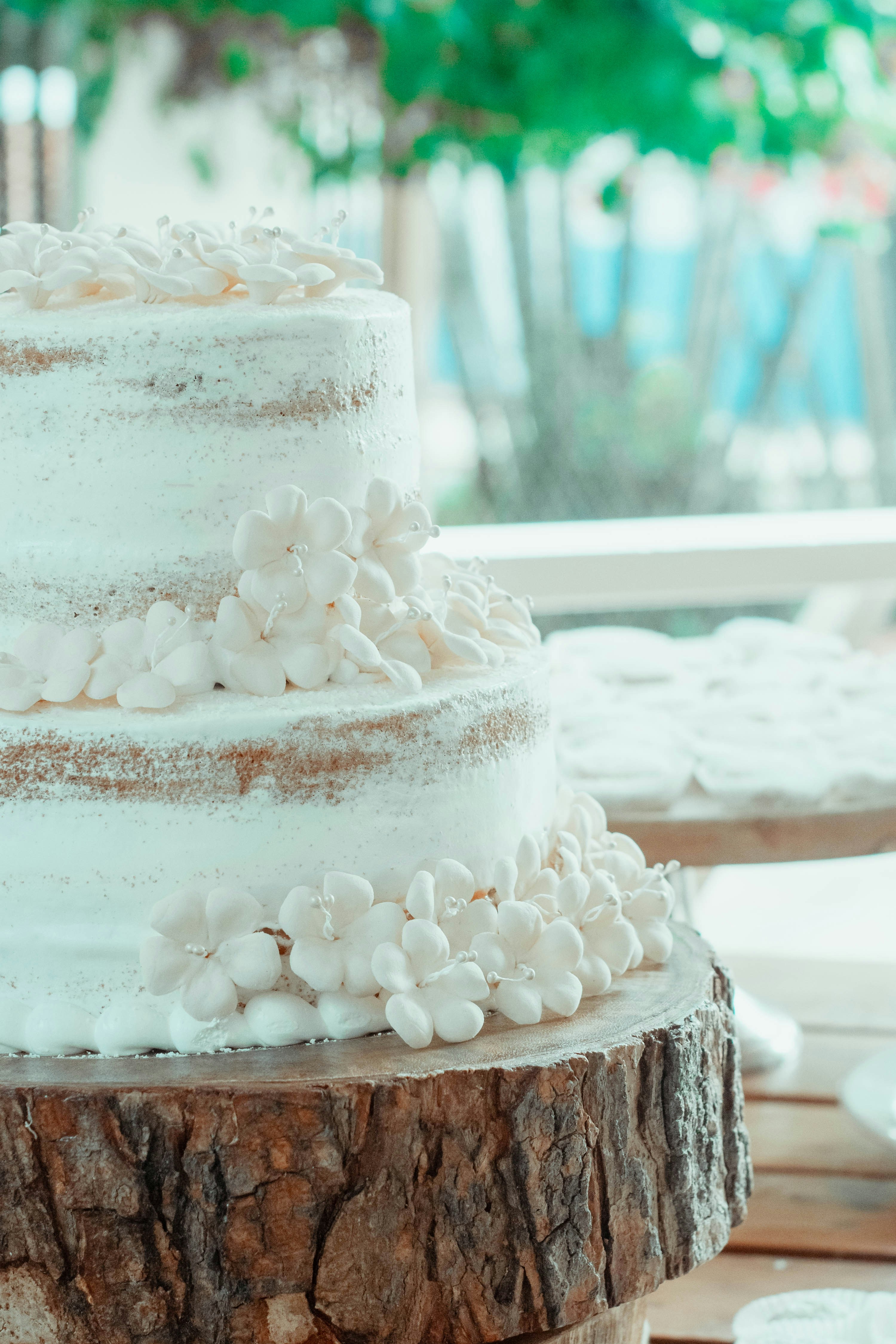 Photo by honeyyanibel