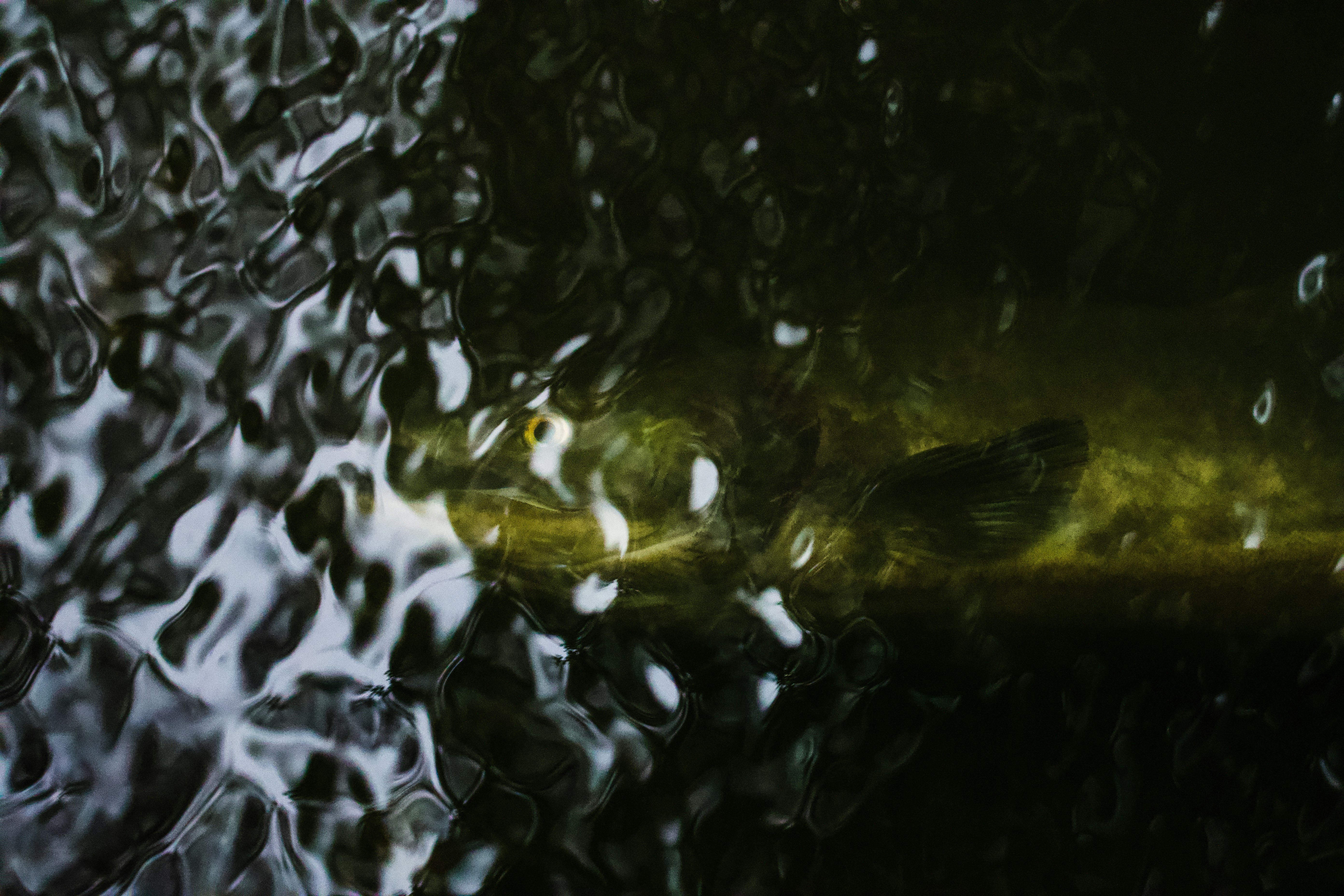 Photo by jackcharles