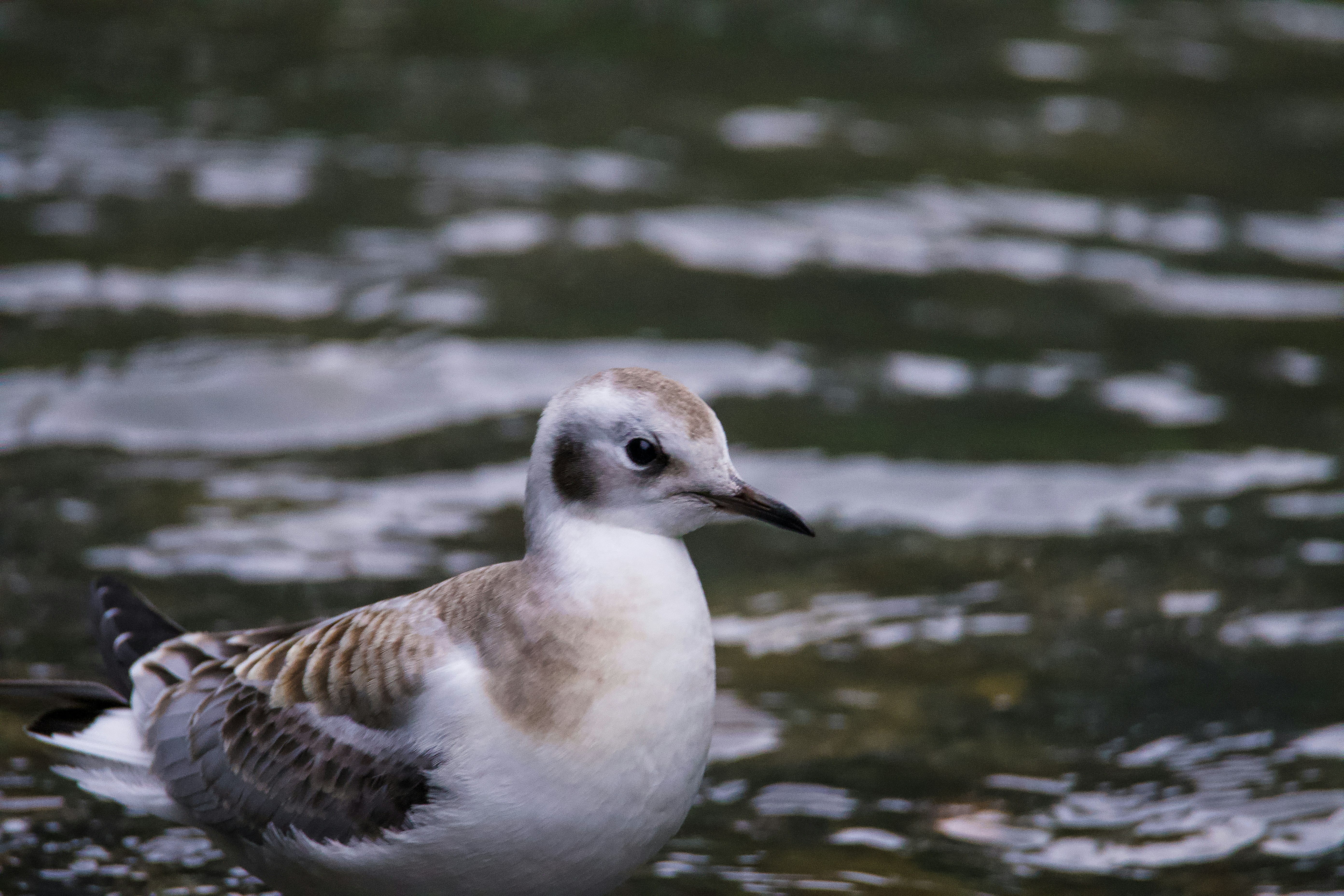 Photo by jackcharles