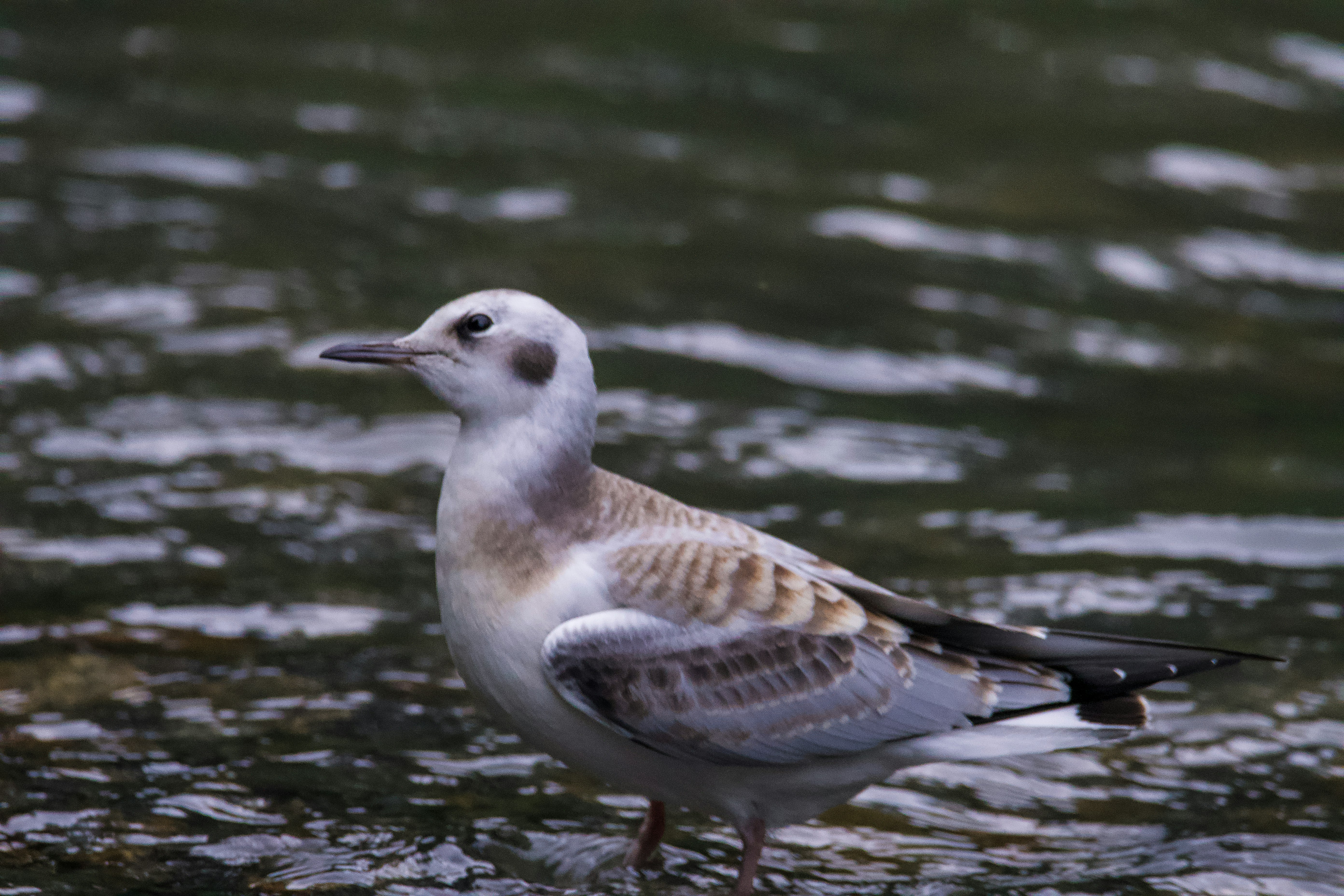 Photo by jackcharles