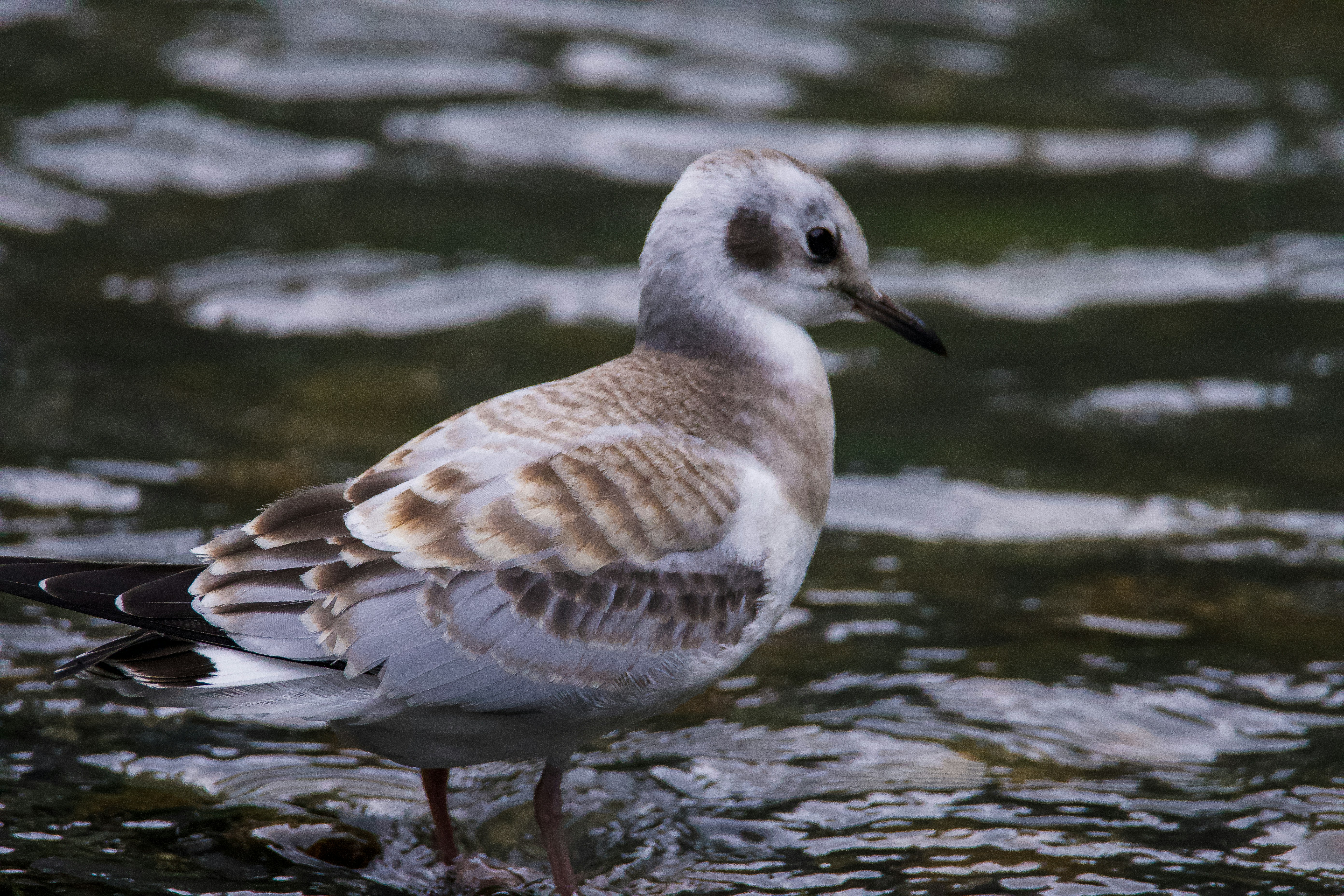 Photo by jackcharles