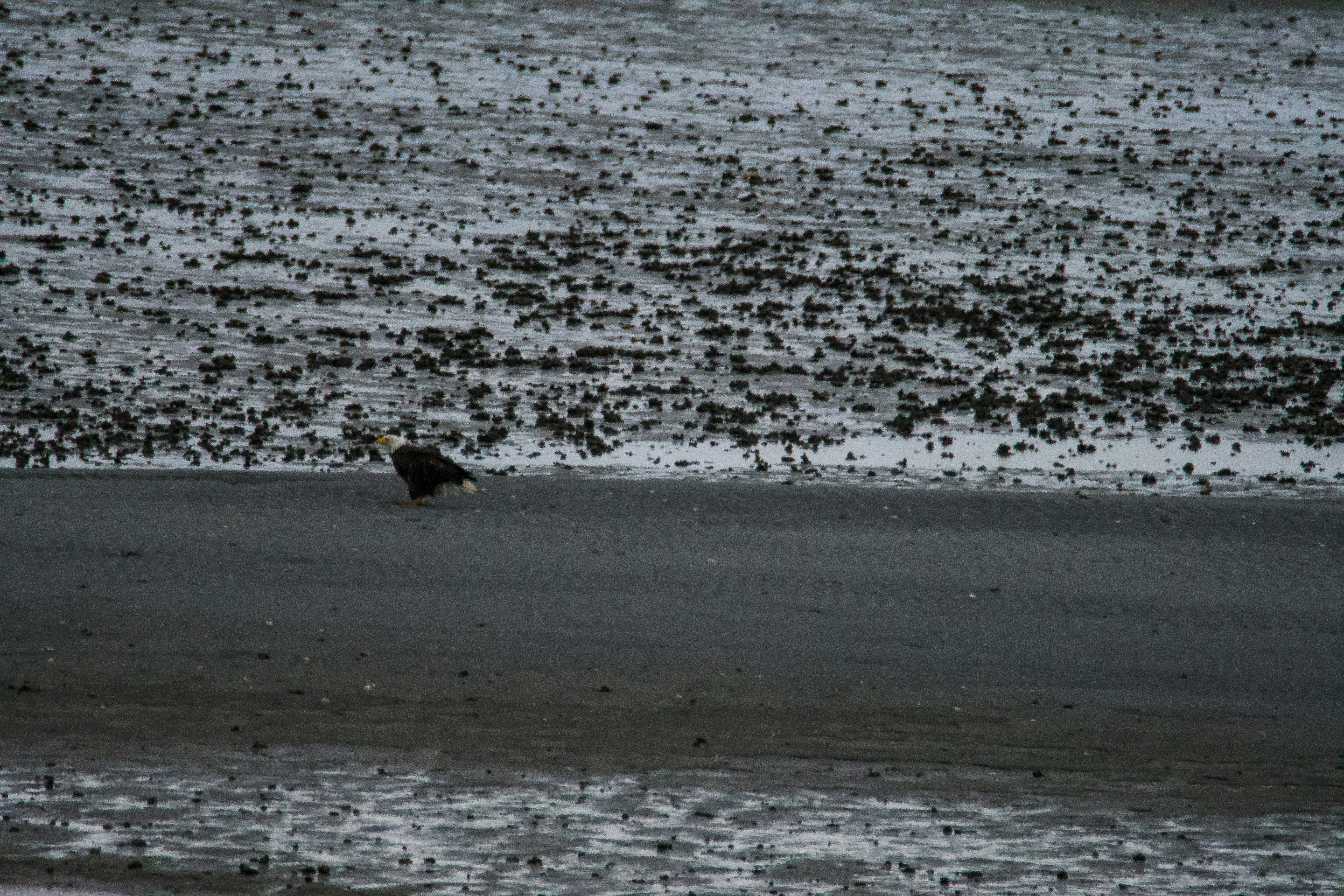 Photo by jackcharles