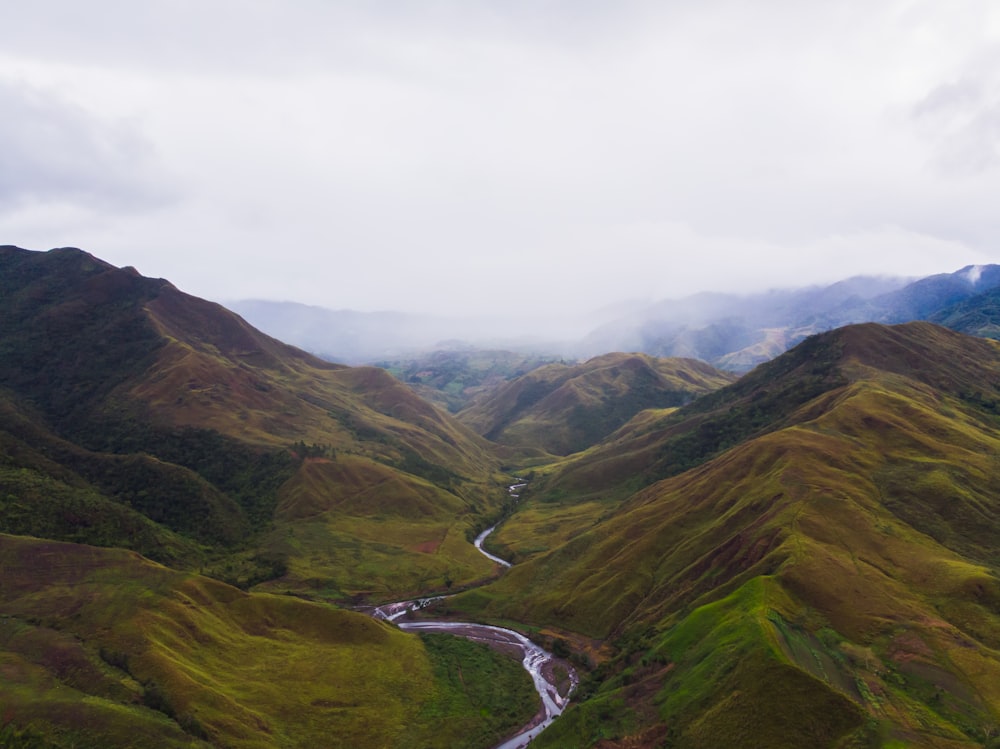 a river running through a lush green valley