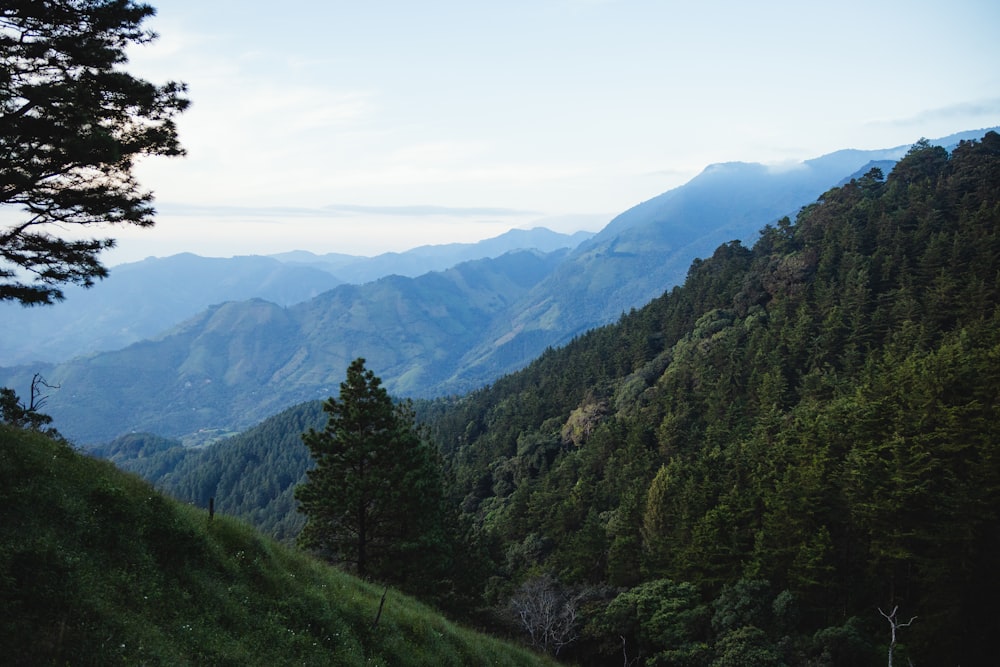 a view of a mountain range with trees and mountains in the background