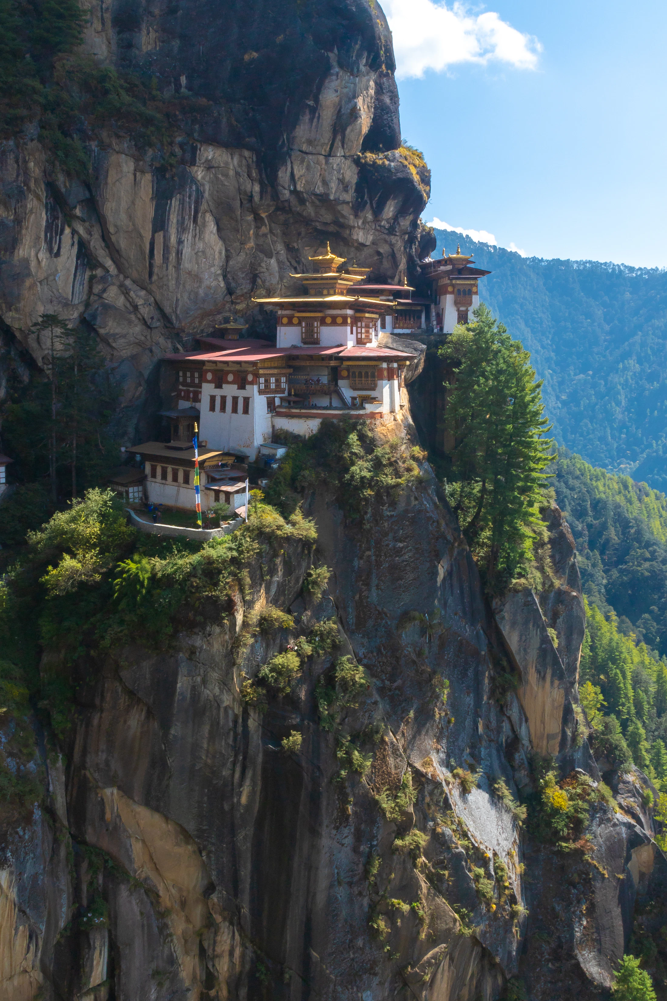 The Tiger's Nest monastery built into a sheer rock face among pines