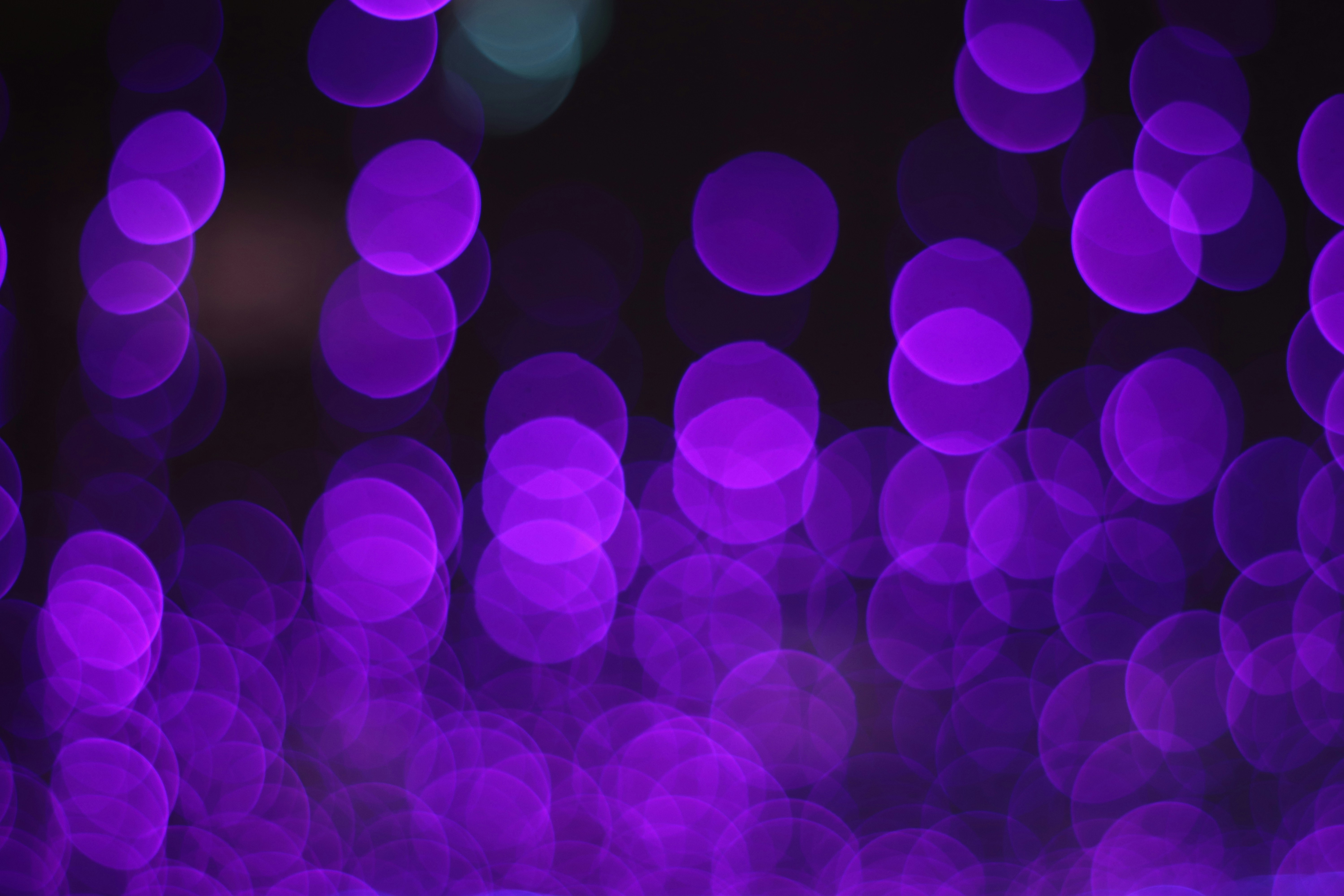 Photo by andikachristian