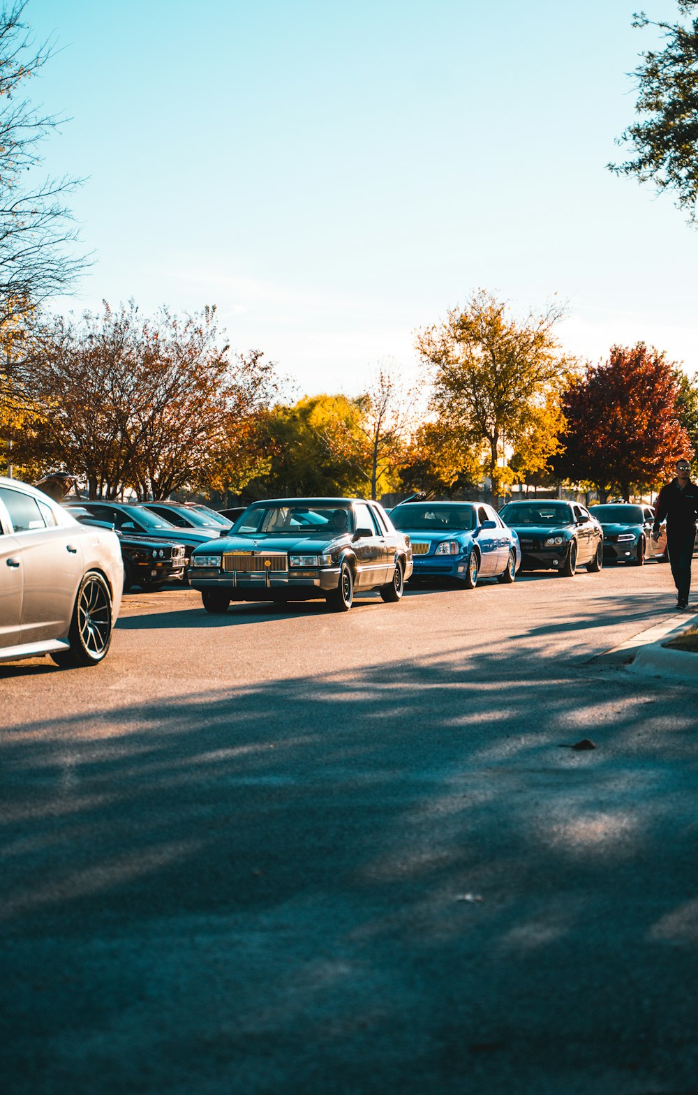 a line of cars parked on the side of a road