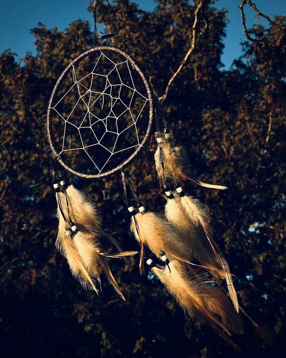 a close up of a dream catcher hanging from a tree