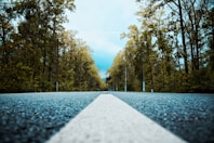 a road with a white line going through a forest